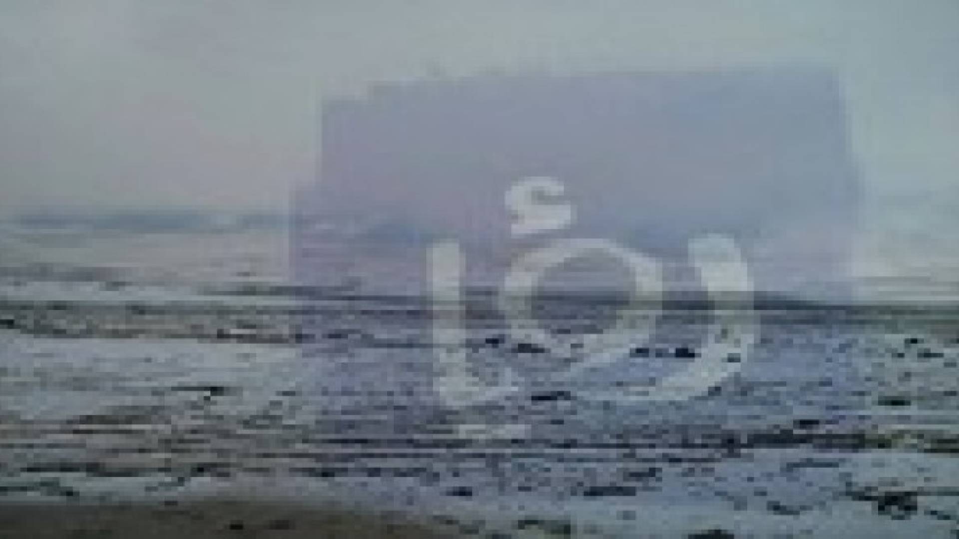 صور.. الثلوج تزور محافظة الطفيلة