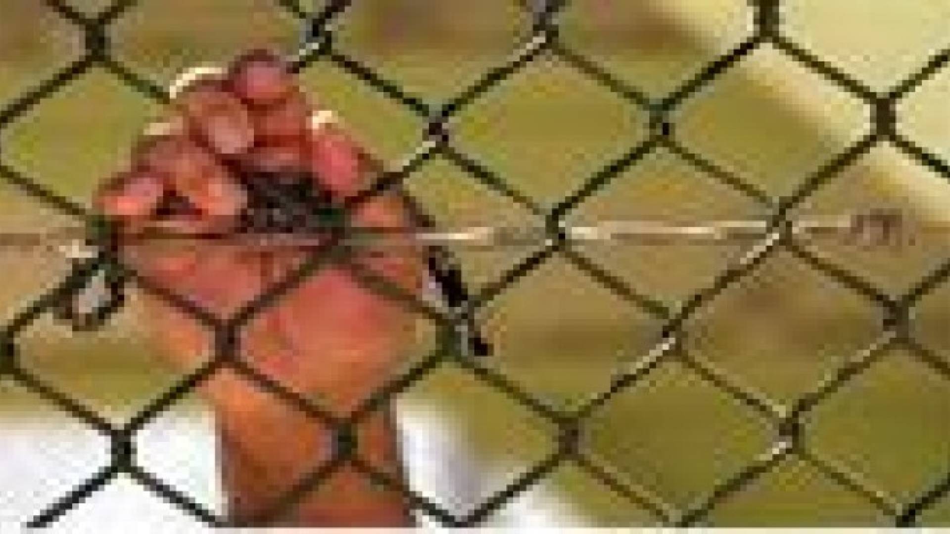 السعودية ترفض 37 توصية حقوقية أممية تخالف الشريعة