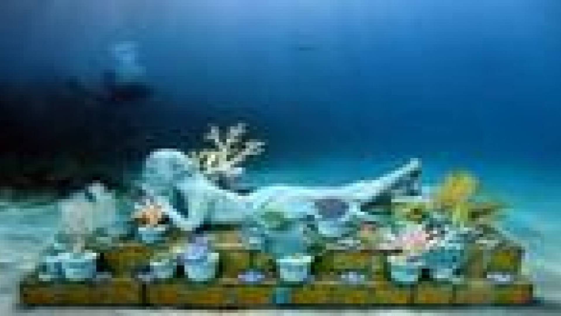 بالصور: أول متحف تحت الماء في العالم