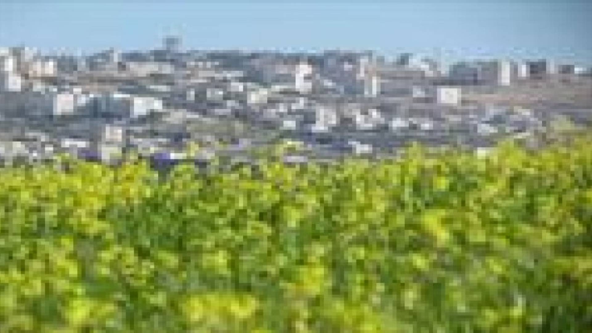 الجمعة : أجواء ربيعية لطيفة في كافة مناطق المملكة