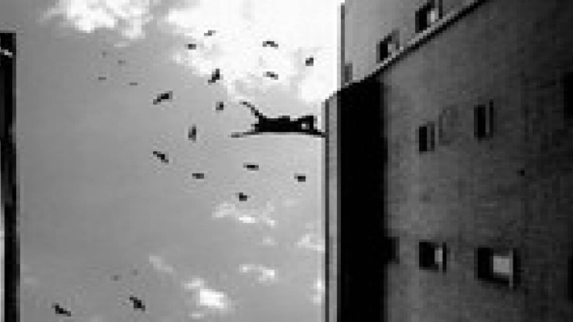 انتحار شاب في ضاحية الرشيد بعمان