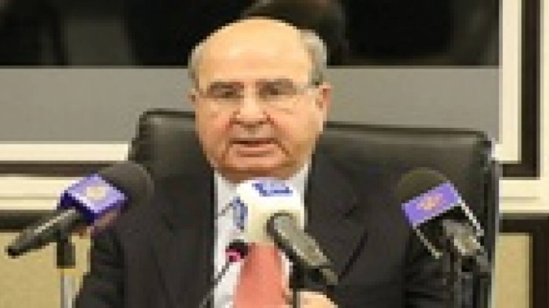 المصري: مخاوف الوطن البديل غير واقعية