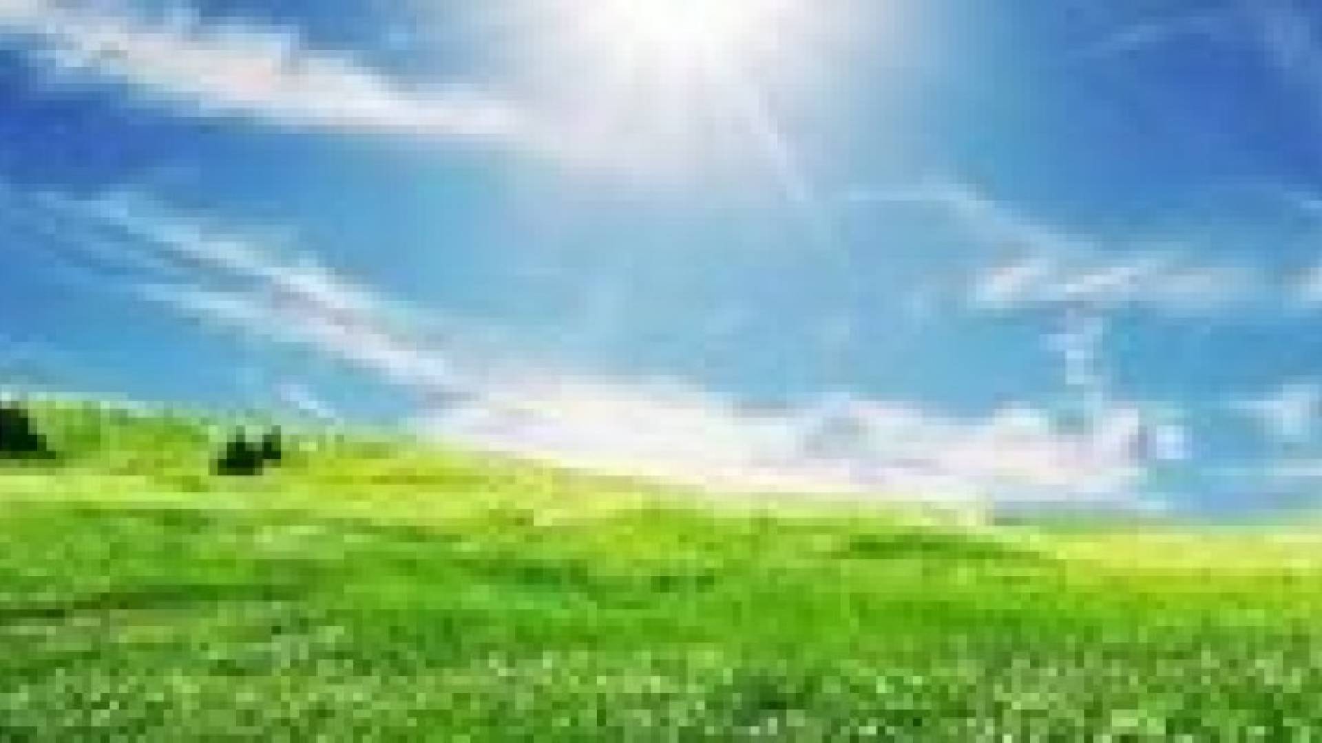 الجمعة أجواء ربيعيه معتدلة إلى دافئة في أغلب المناطق