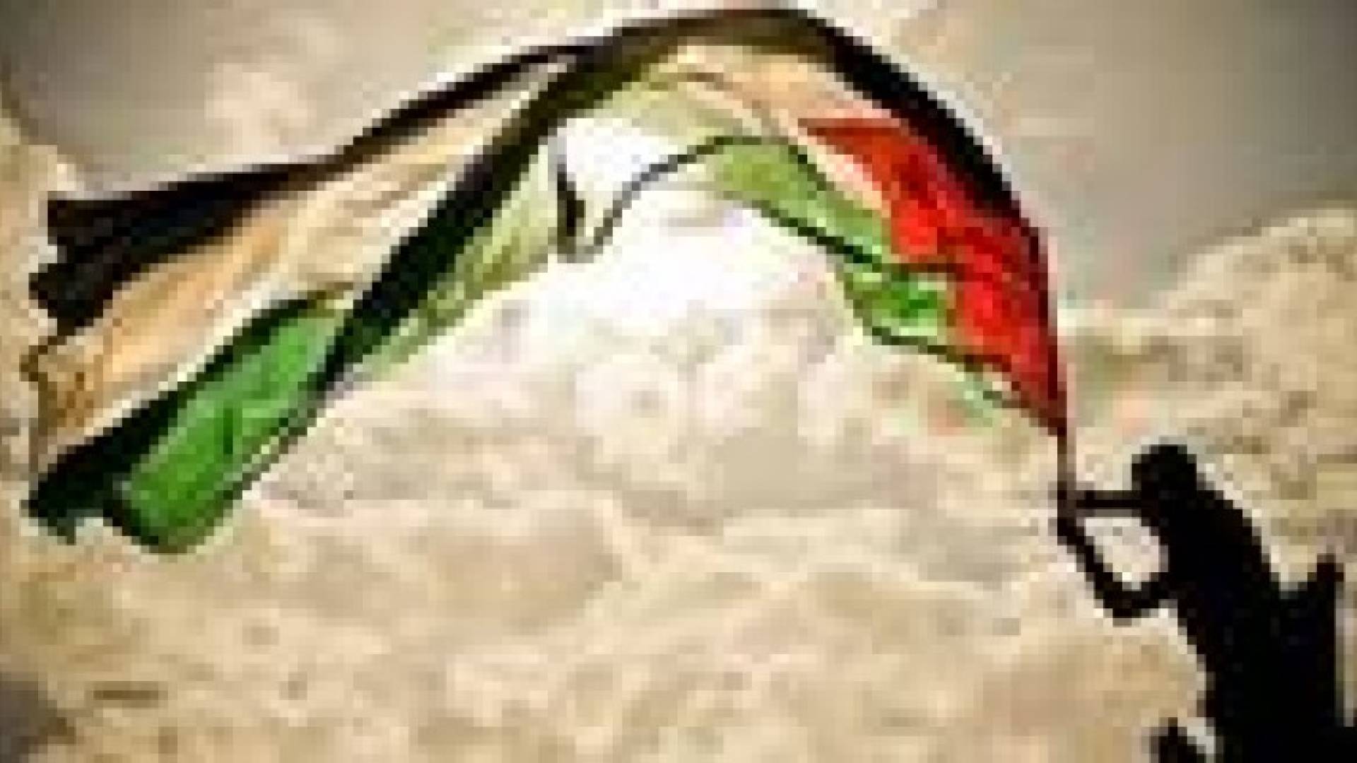 الفلسطينيون يحيون يوم الارض
