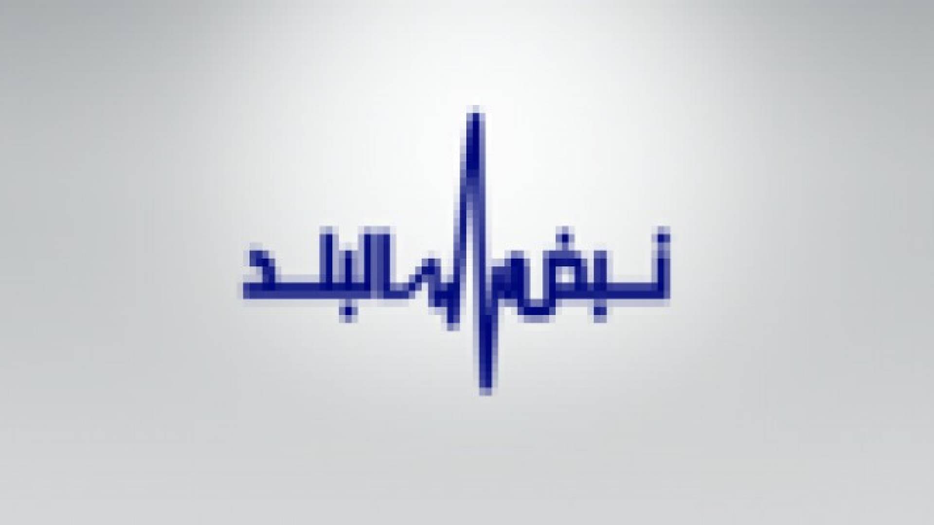 نبض البلد : الاعلام العربي أصبح منشغلا عن القضية الفلسطينية