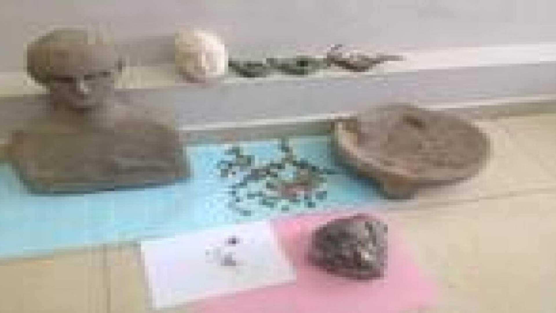القبض على تاجر  آثار في إربد ..صور