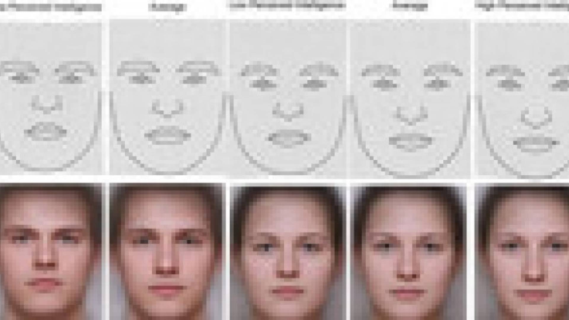 شكل وجه الرجل يحدد ذكاءه.. والمرأة غير معنية