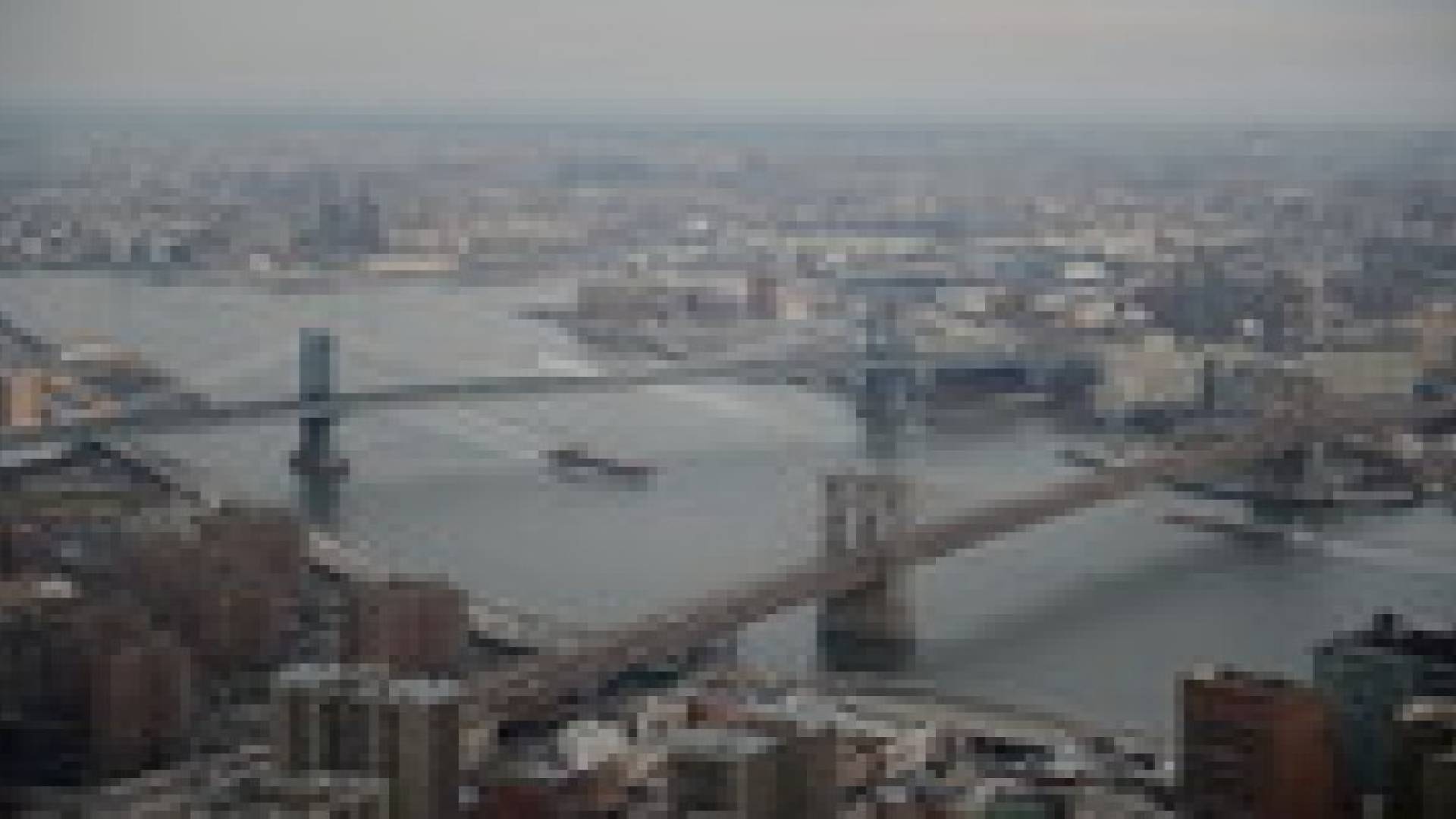 متطوعون يصعدون مئات الدرجات من أجل مرضى السرطان..صور