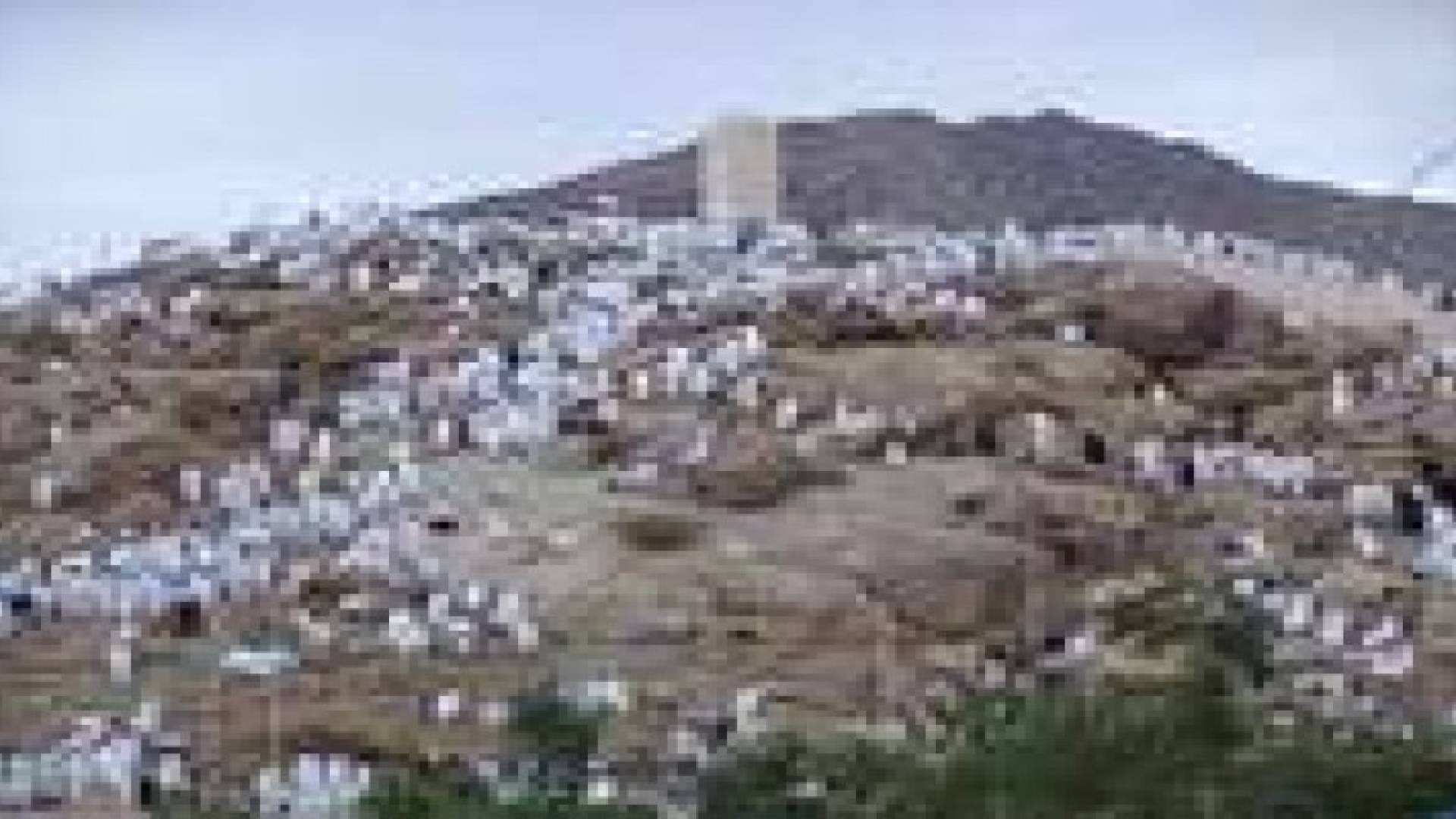 لجنة فنية لاعادة دراسة تعليمات الحج