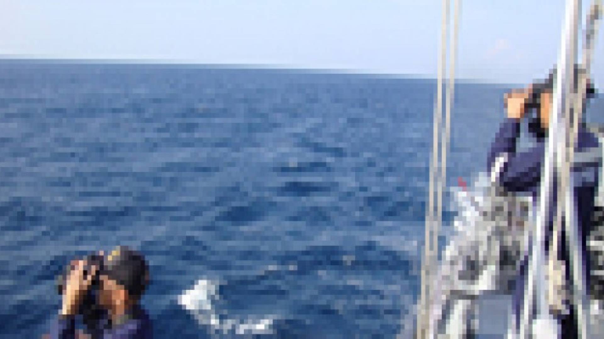 غواصة إلى أعماق المحيط الهندي بحثا عن الطائرة الماليزية