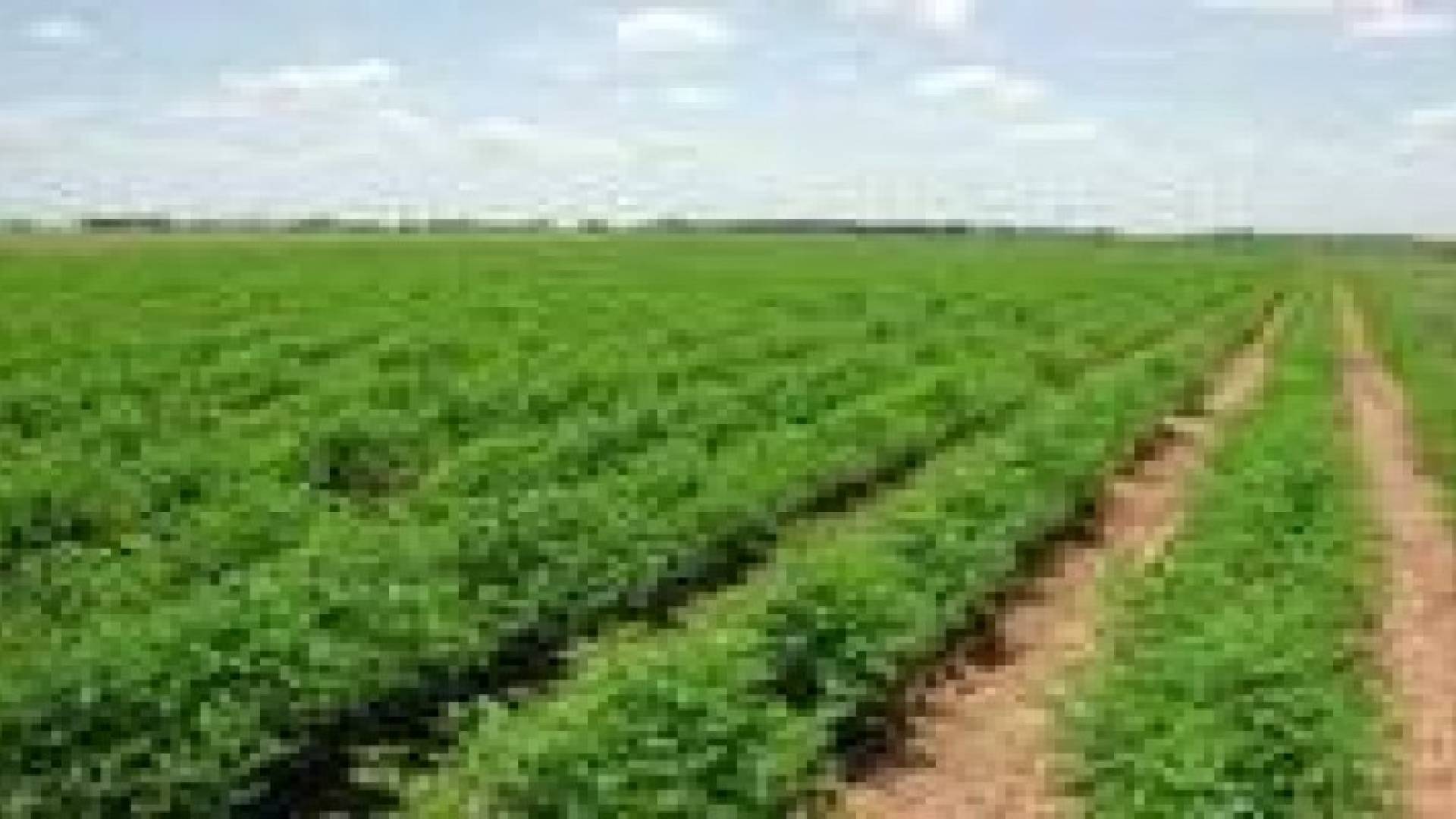 الاردن بصدد استثمار اراض زراعية في السودان