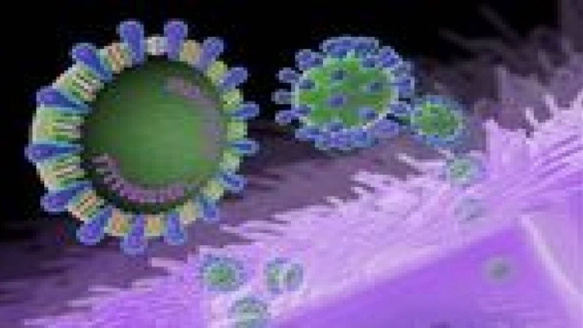 وفاة واحدة و5 إصابات بفيروس كورونا بالإمارات