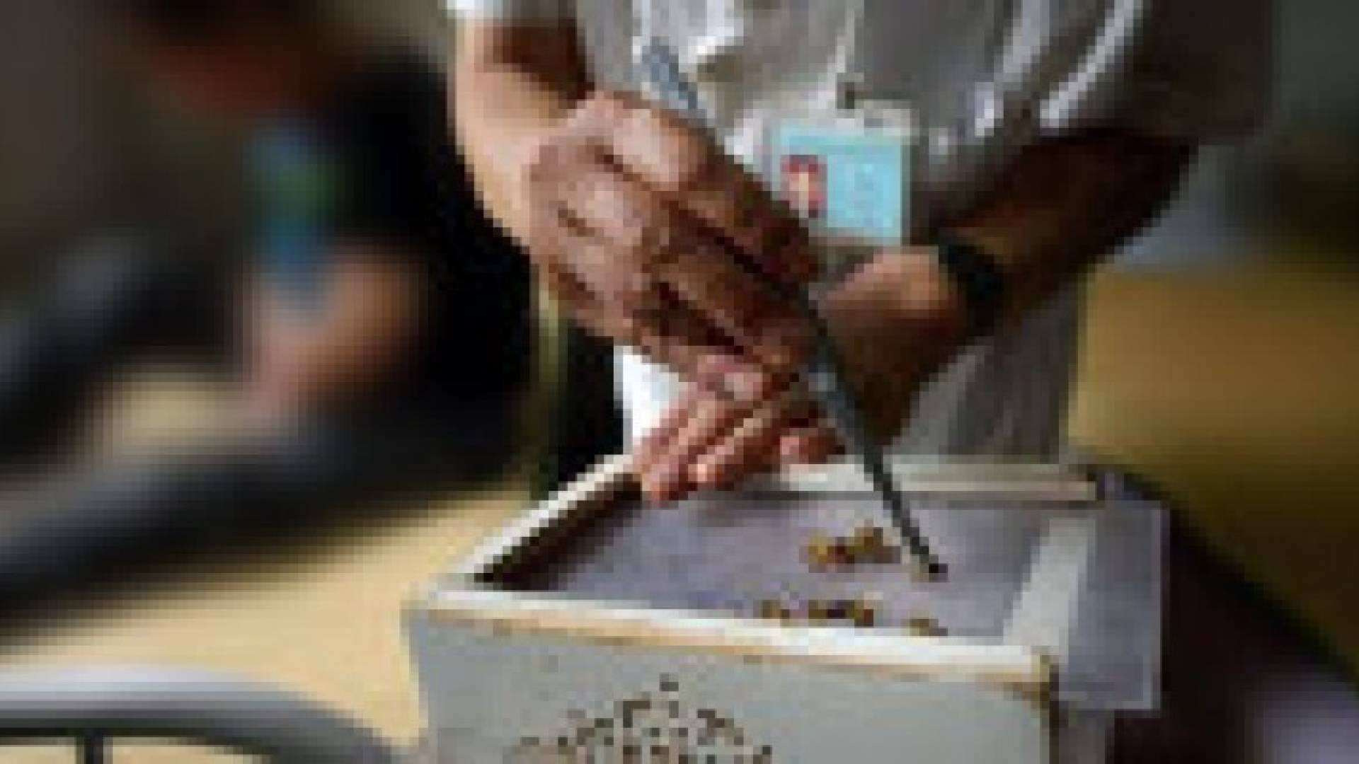 العلاجات بالنحل تلقى رواجا كبيرا في رومانيا