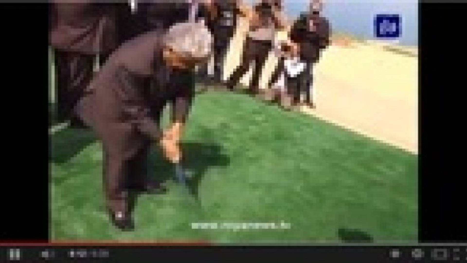 النسور يصيب صحافيا بكرة الجولف ..فيديو