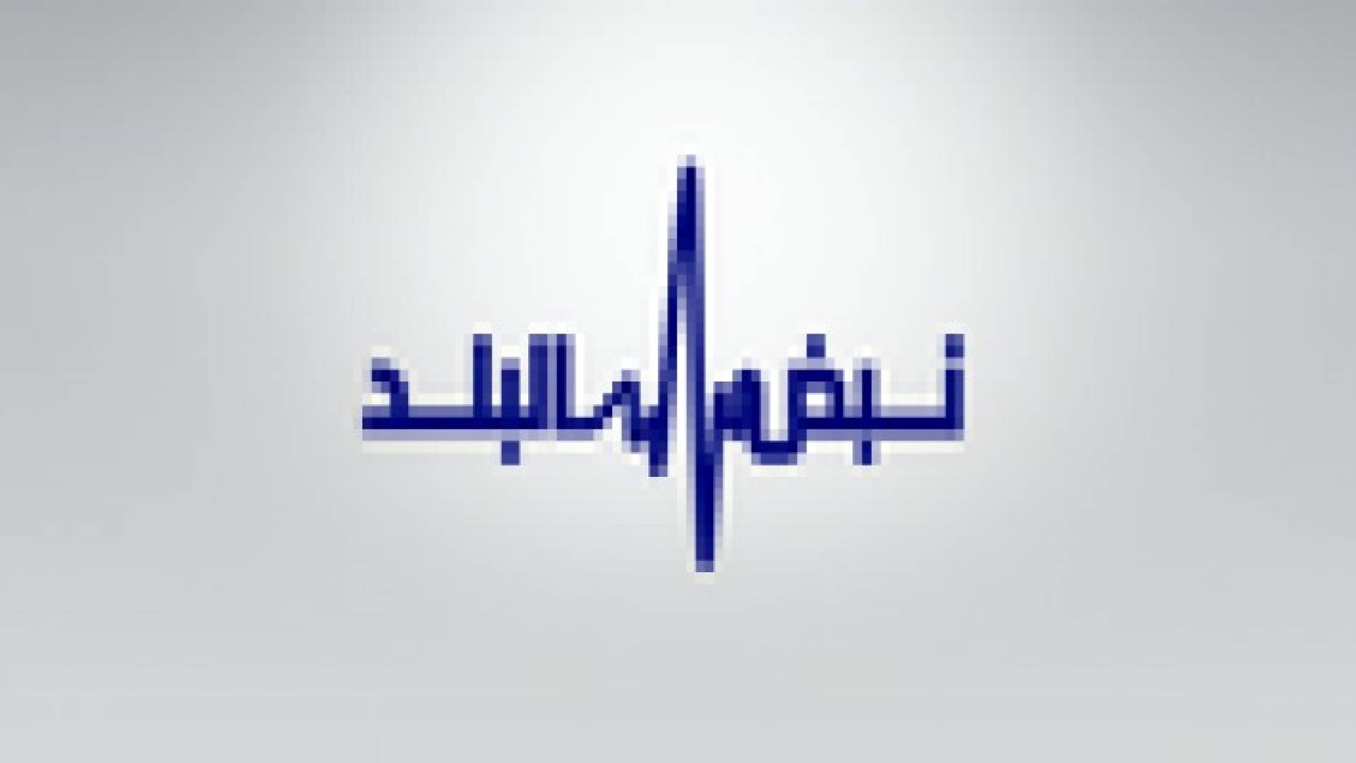 نبض البلد: الاعلام الرسمي..  واقع وتحديات