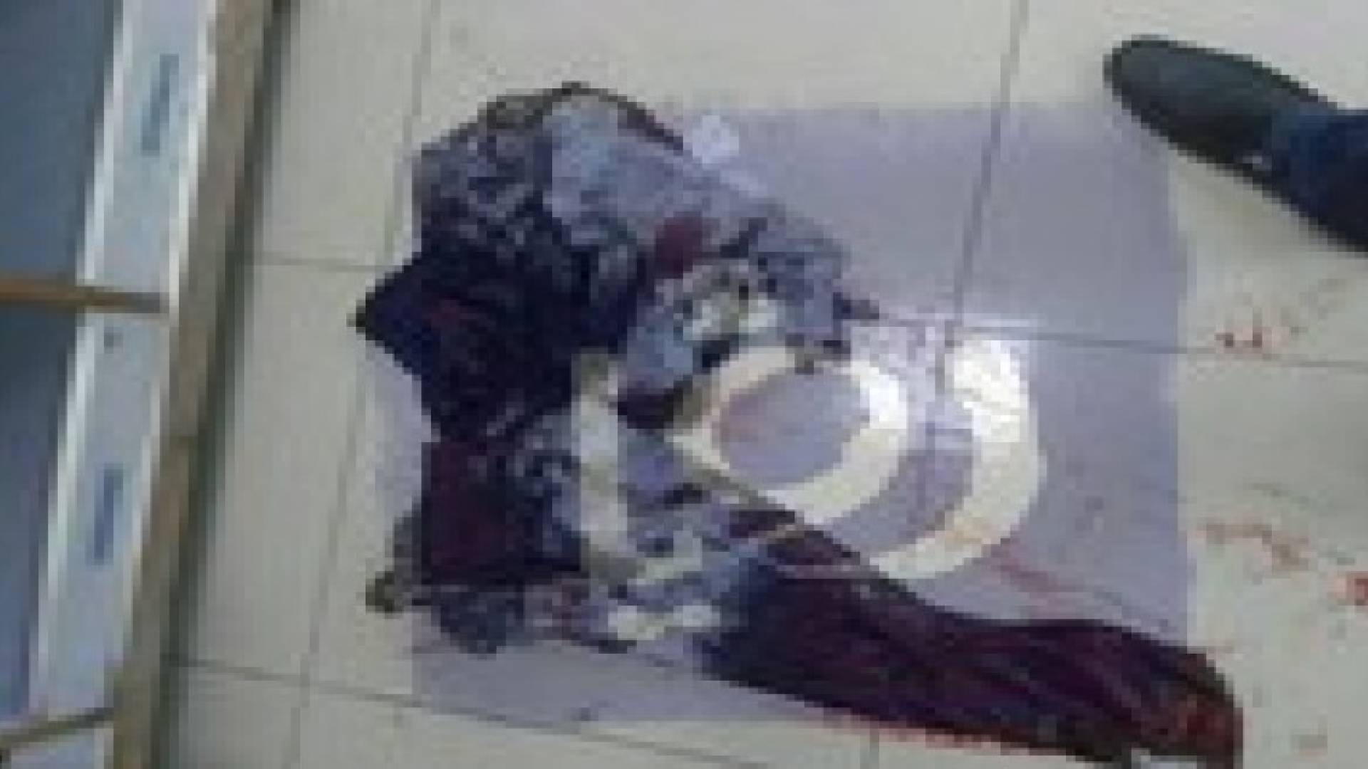 صور ... اثار اصابة عناصر الدرك من داخل مستشفى معان الحكومي