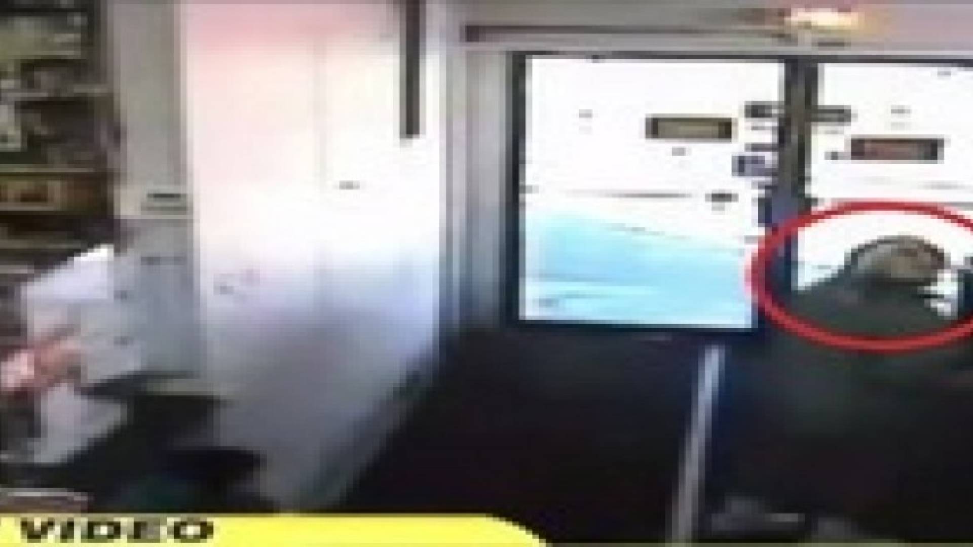 فضول سيدة ينقذها من موت محقق " فيديو  "