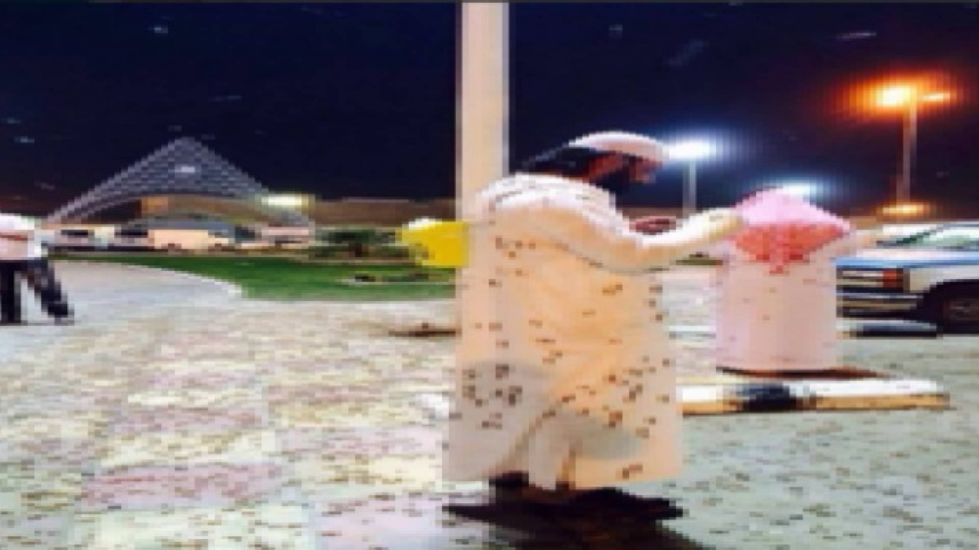 جيش من الجراد يهاجم محافظة القريات على الحدود الأردنية - السعودية " صور "