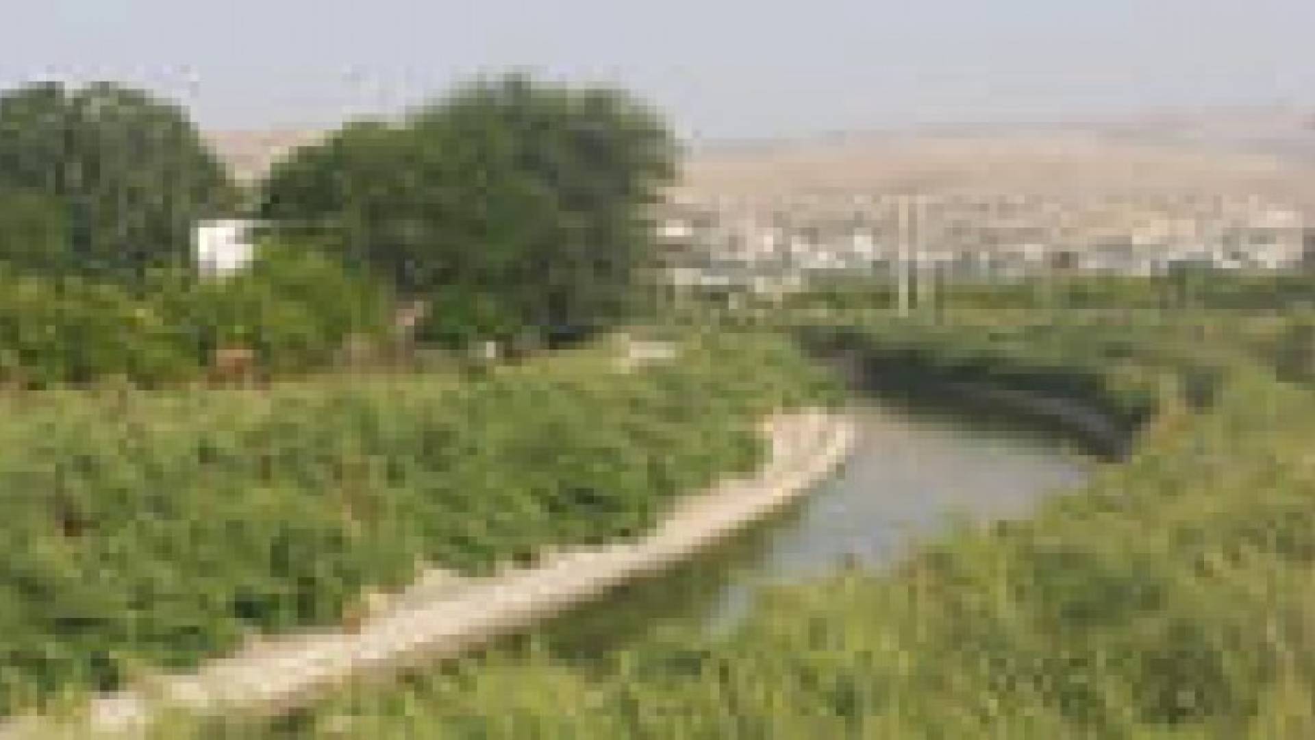 وفاة شاب غرقا في الشونة الشمالية