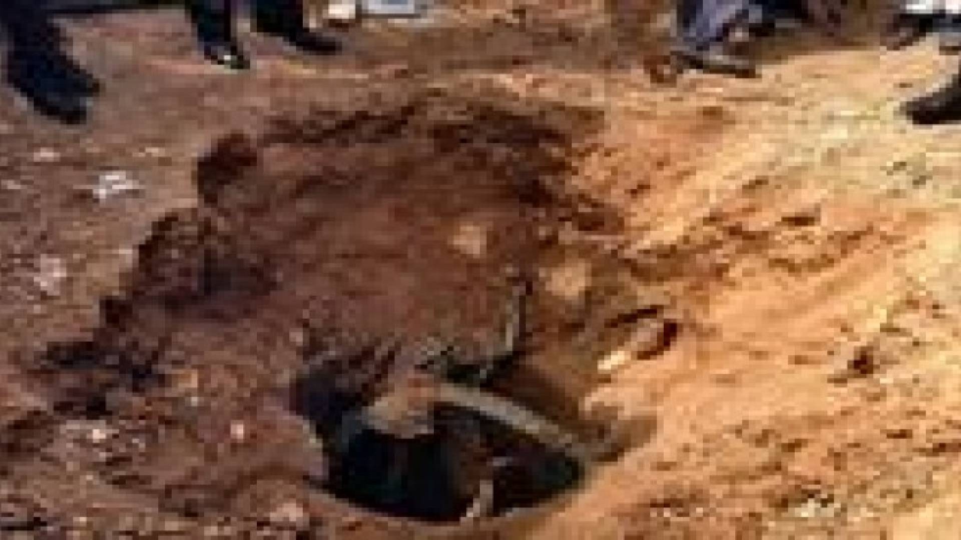 ردم ٢٢٤ بئر مخالفة منذ حزيران الماضي