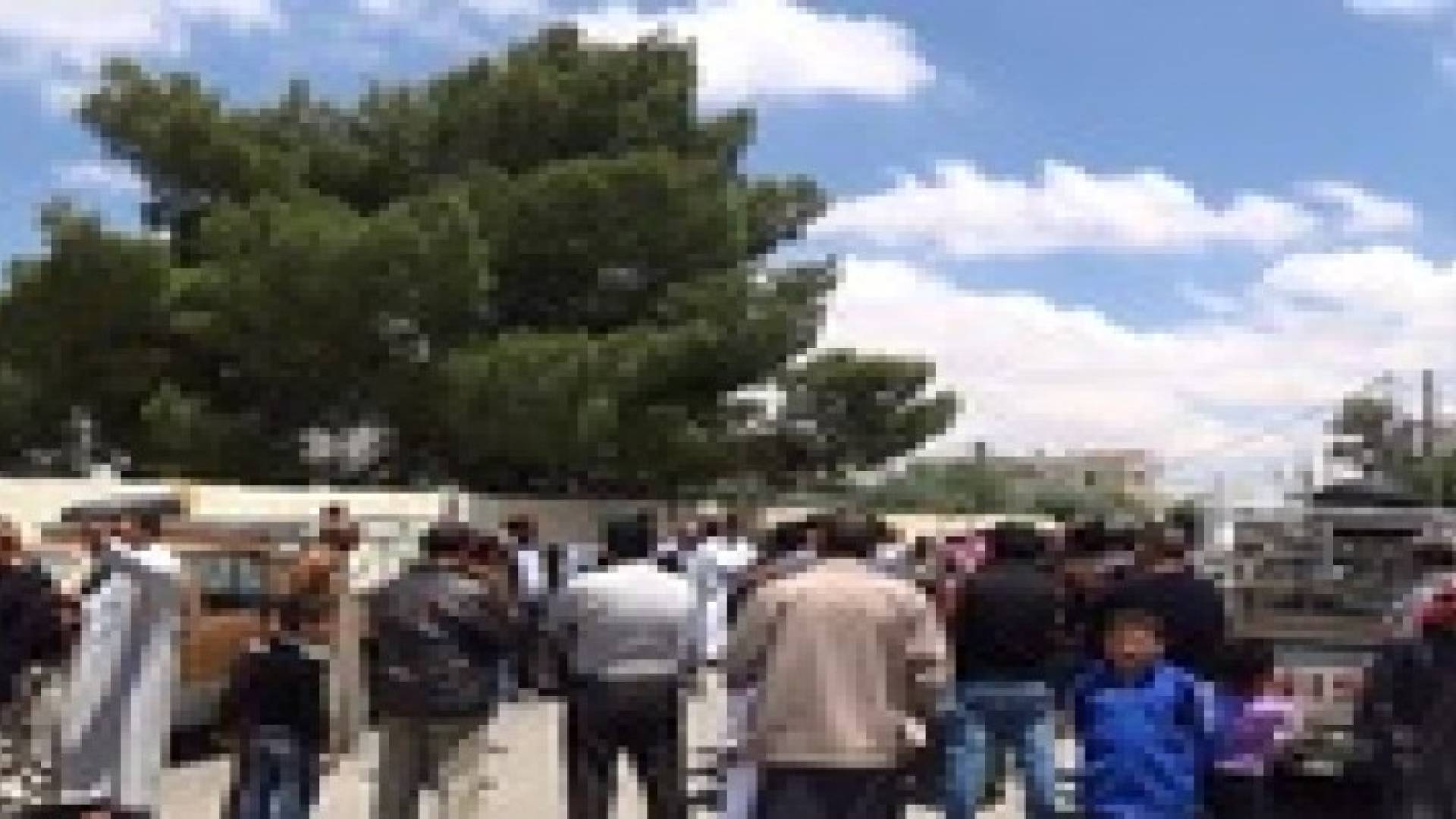 لواء فقوع في الكرك: وقفة إحتجاجا على المشهد التمثيلي خلال إفتتاح معرض سوفكس
