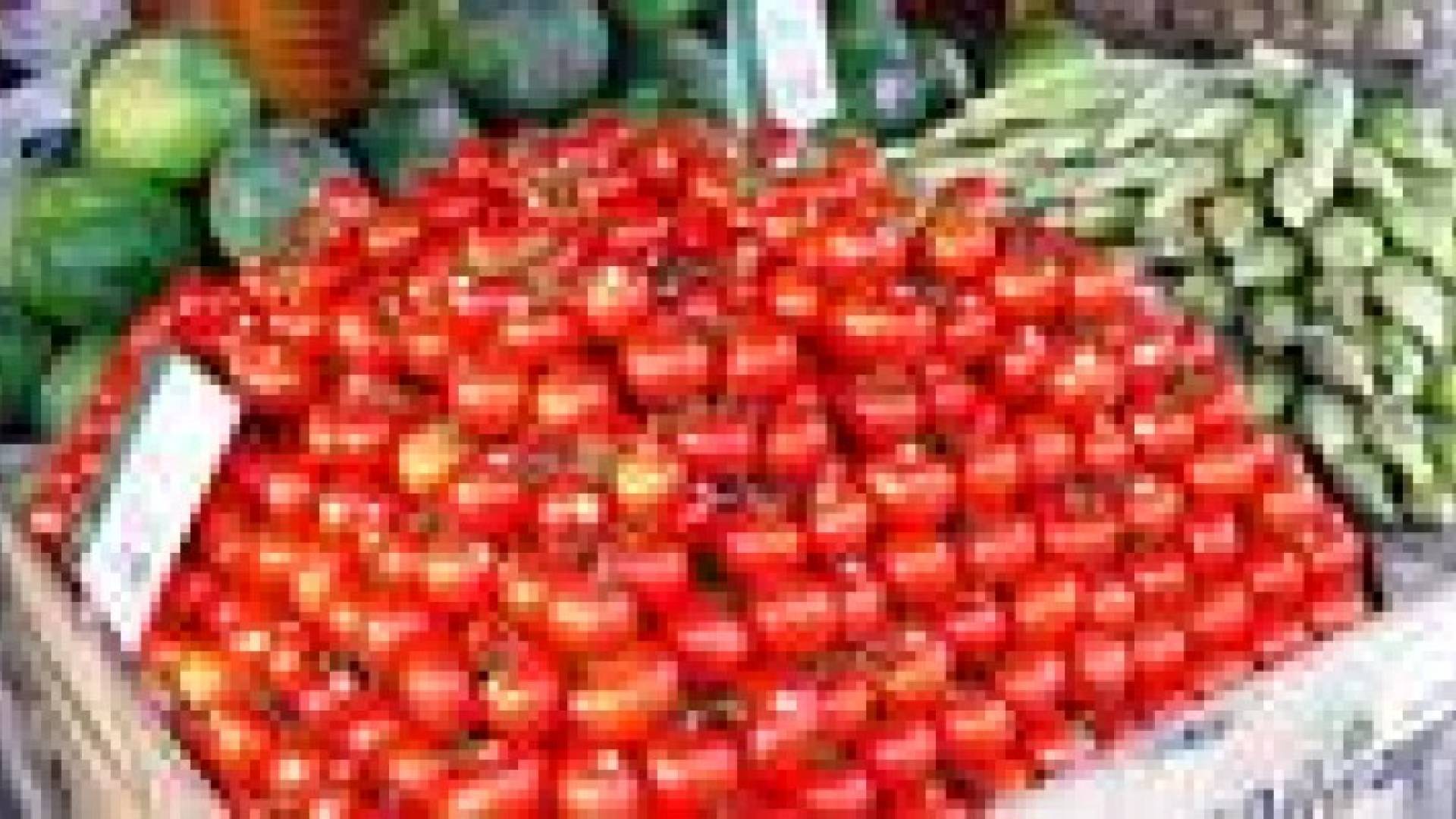 الأردن يصدر 804 أطنان خضار وفواكه إلى إسرائيل في نيسان