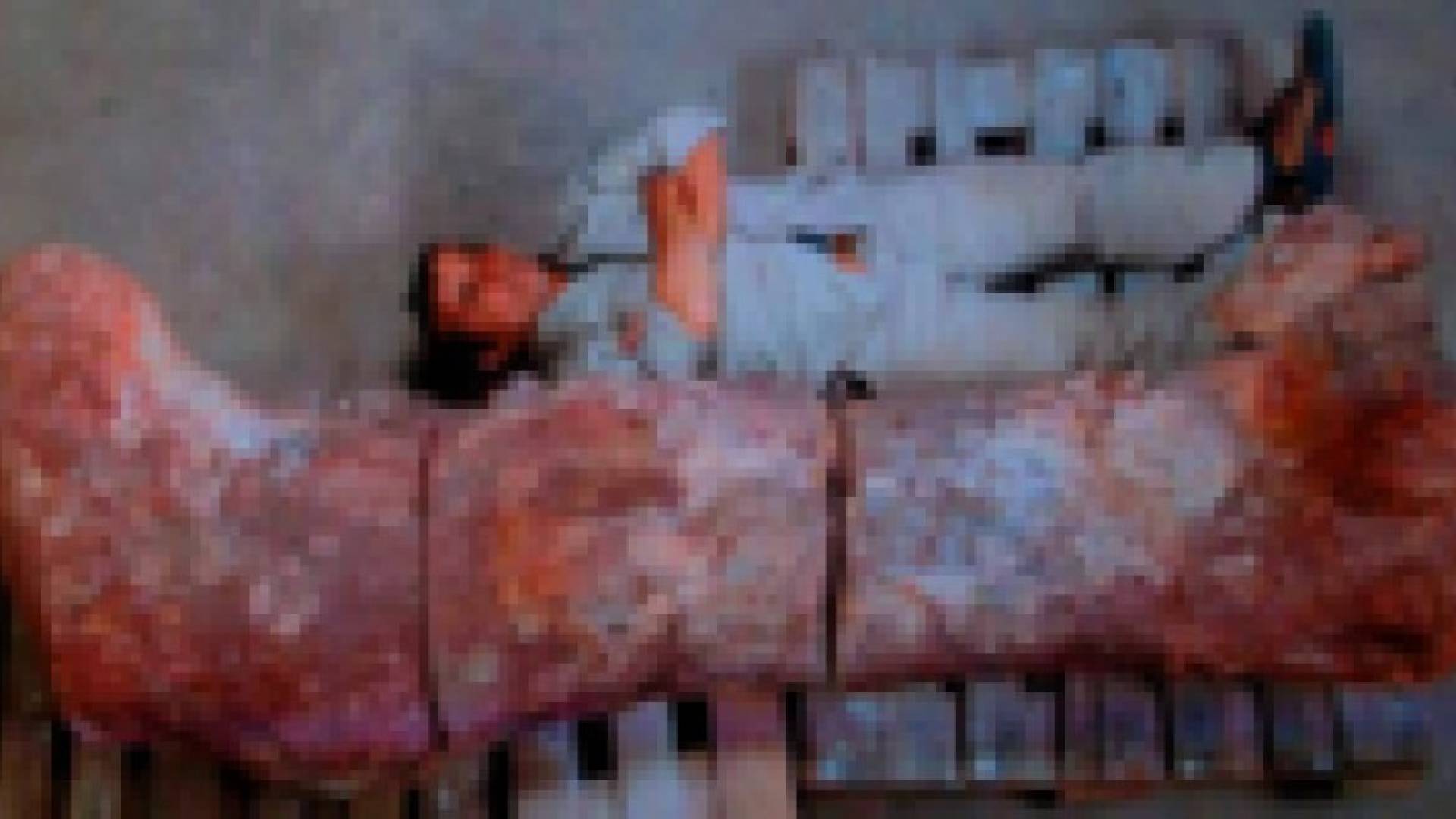 عظام أضخم كائن عرفته الأرض تظهر بعد 140 مليون عام