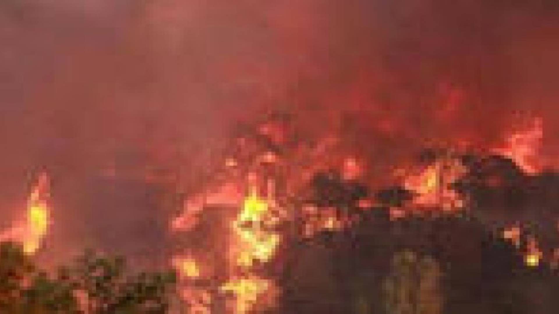احتراق 50 دونما من الأشجار الحرجية في دبين