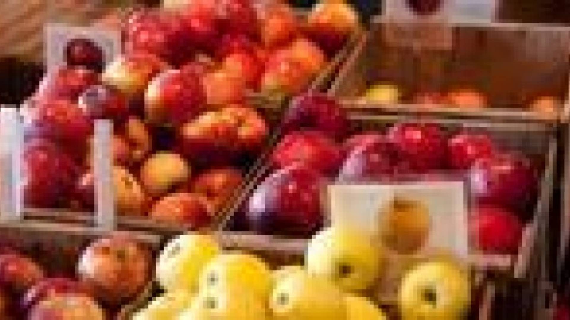 الزراعة ترفض ادخال 460 طنا من الخضار والفواكة عبر جابر
