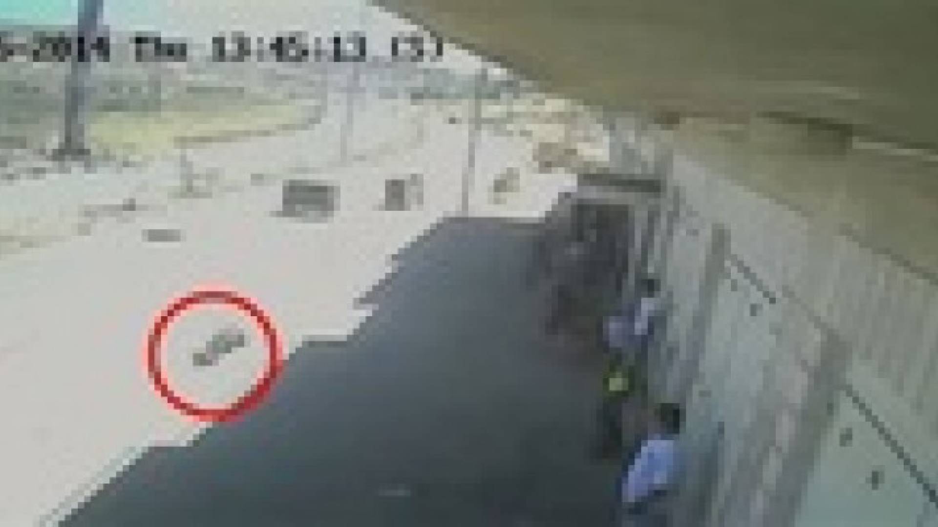 جمعية عالمية تنشر شريط فيديو للحظة استشهاد طفلين في ذكرى النكبة