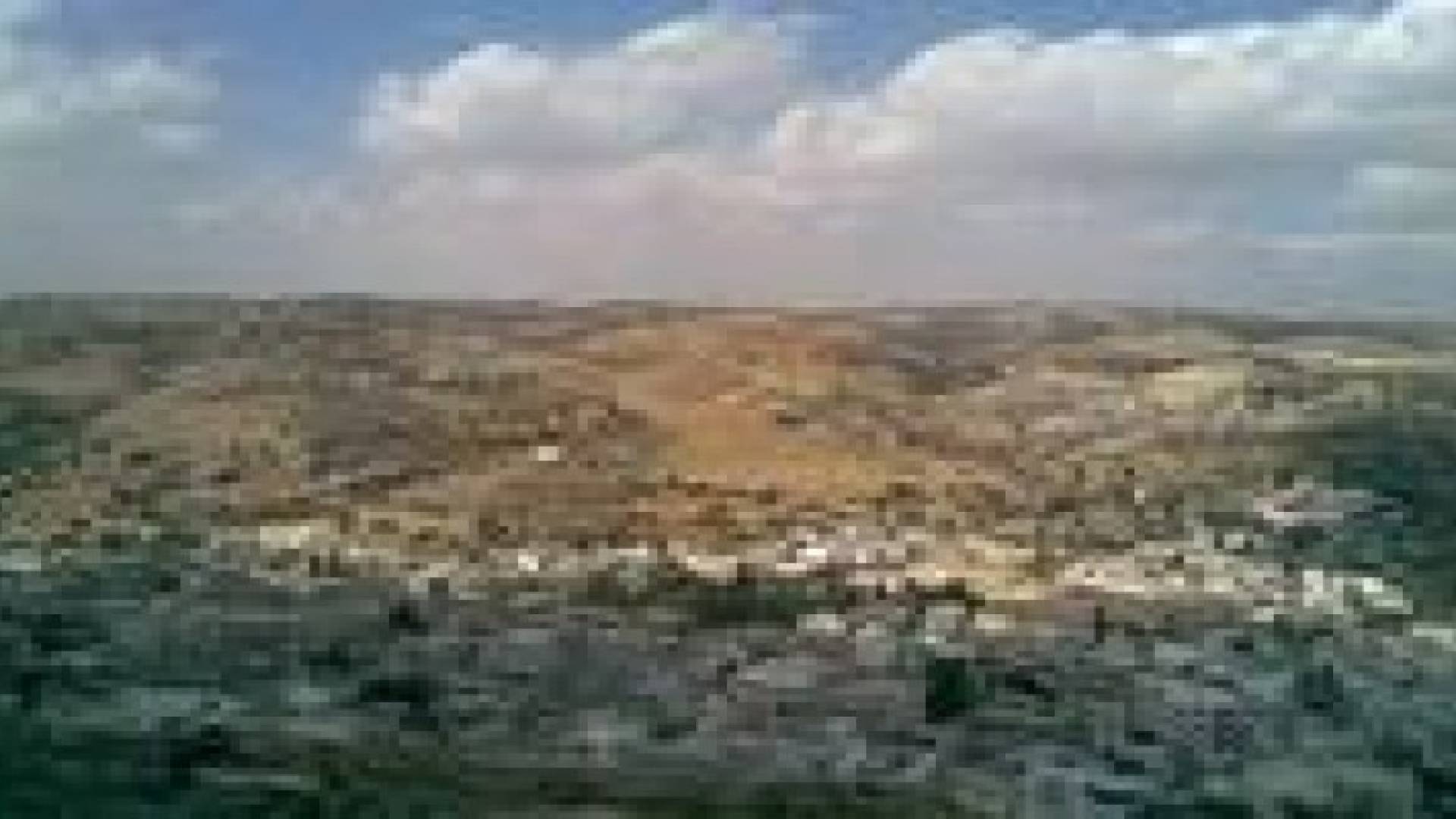 وادي السير : مبادرة بيئية بمناسبة عيد الاستقلال