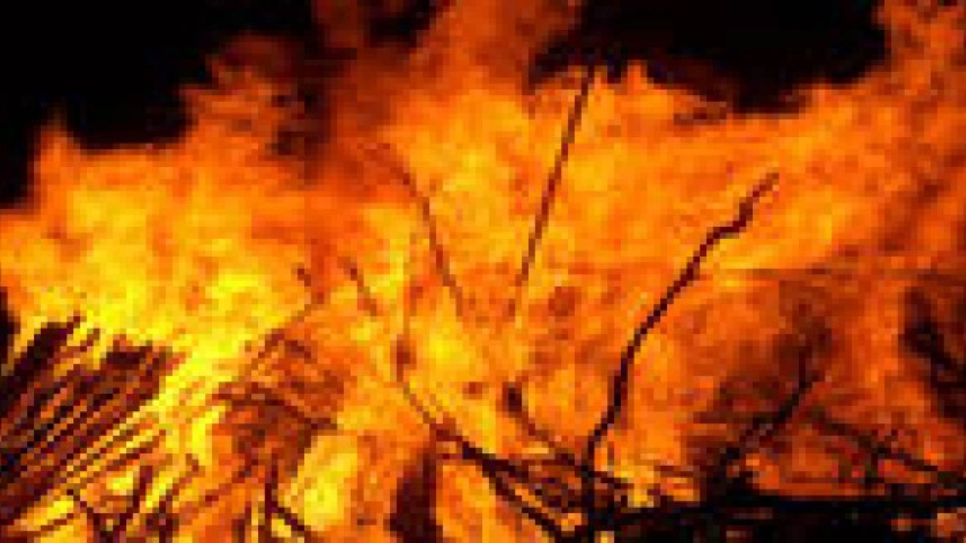 حريق يلتهم 100 دونم موز في الشونة الجنوبية