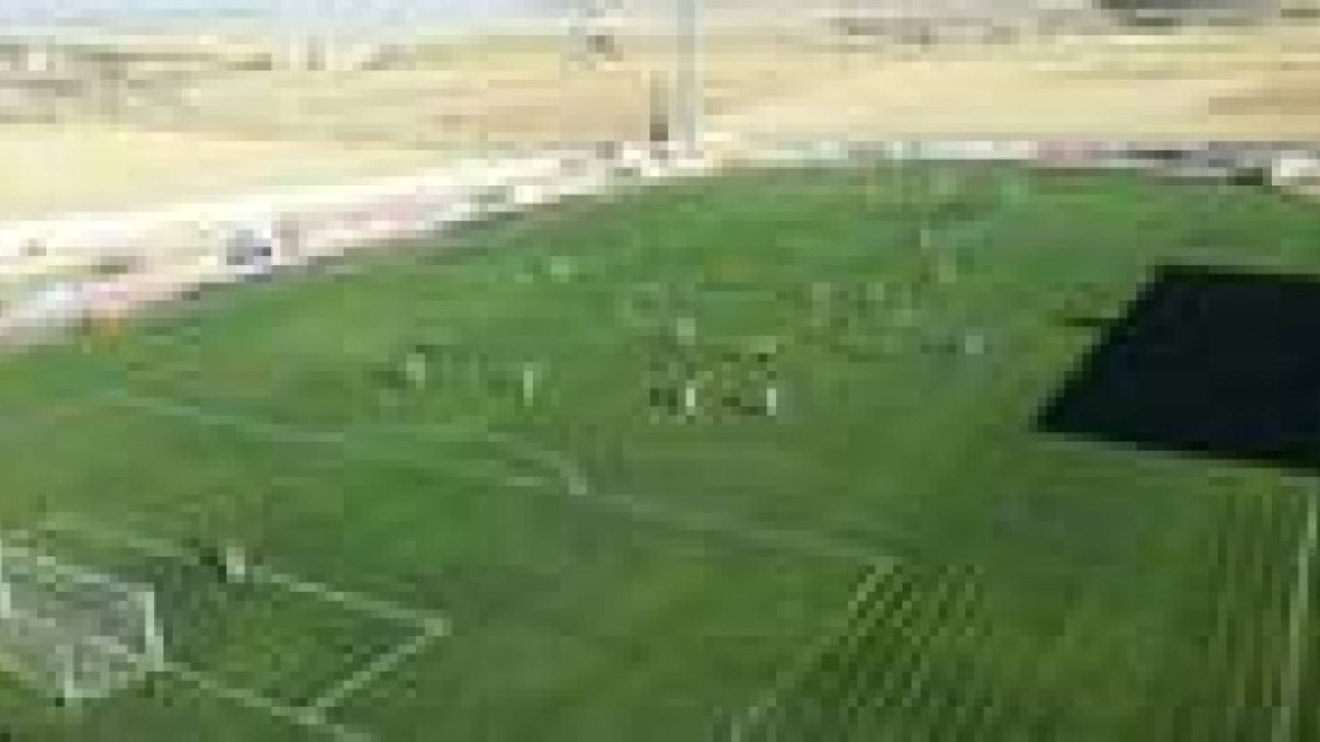 فسخ عقد مدرب ذات راس بالتراضي .. صور