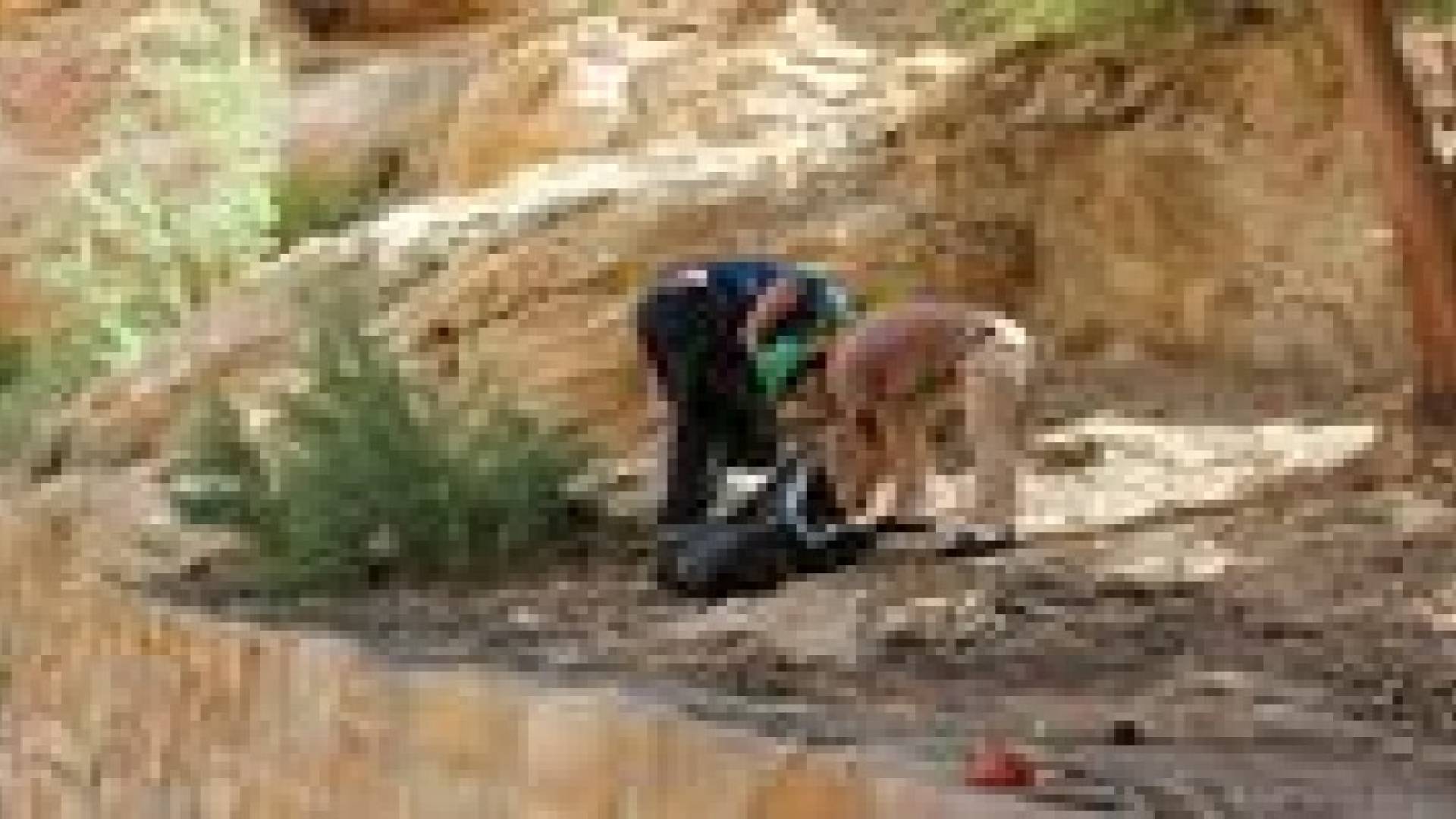 سياحة الطفيلة تطلق حملة "الطفيلة أحلى" .. صور