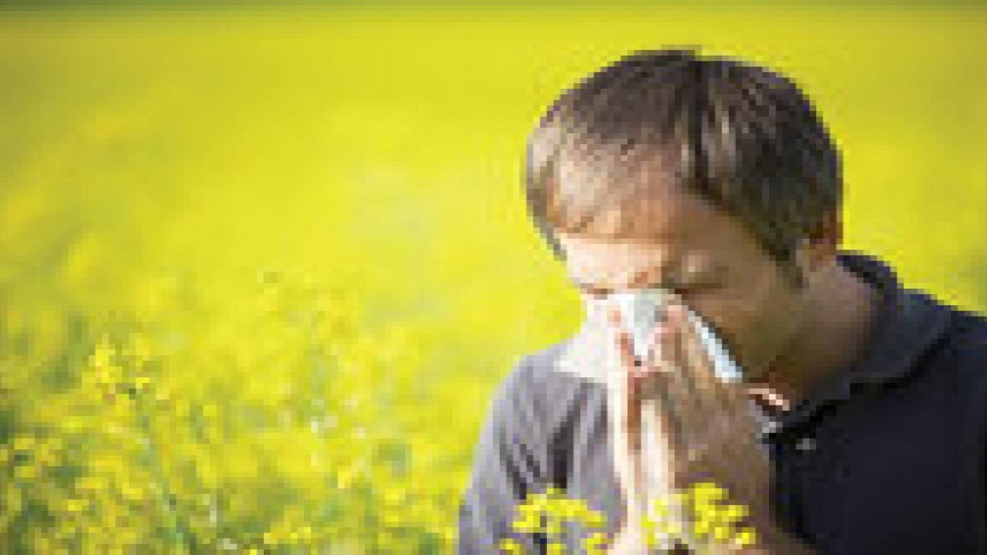 ربع الاردنيين يعانون من أمراض الحساسية