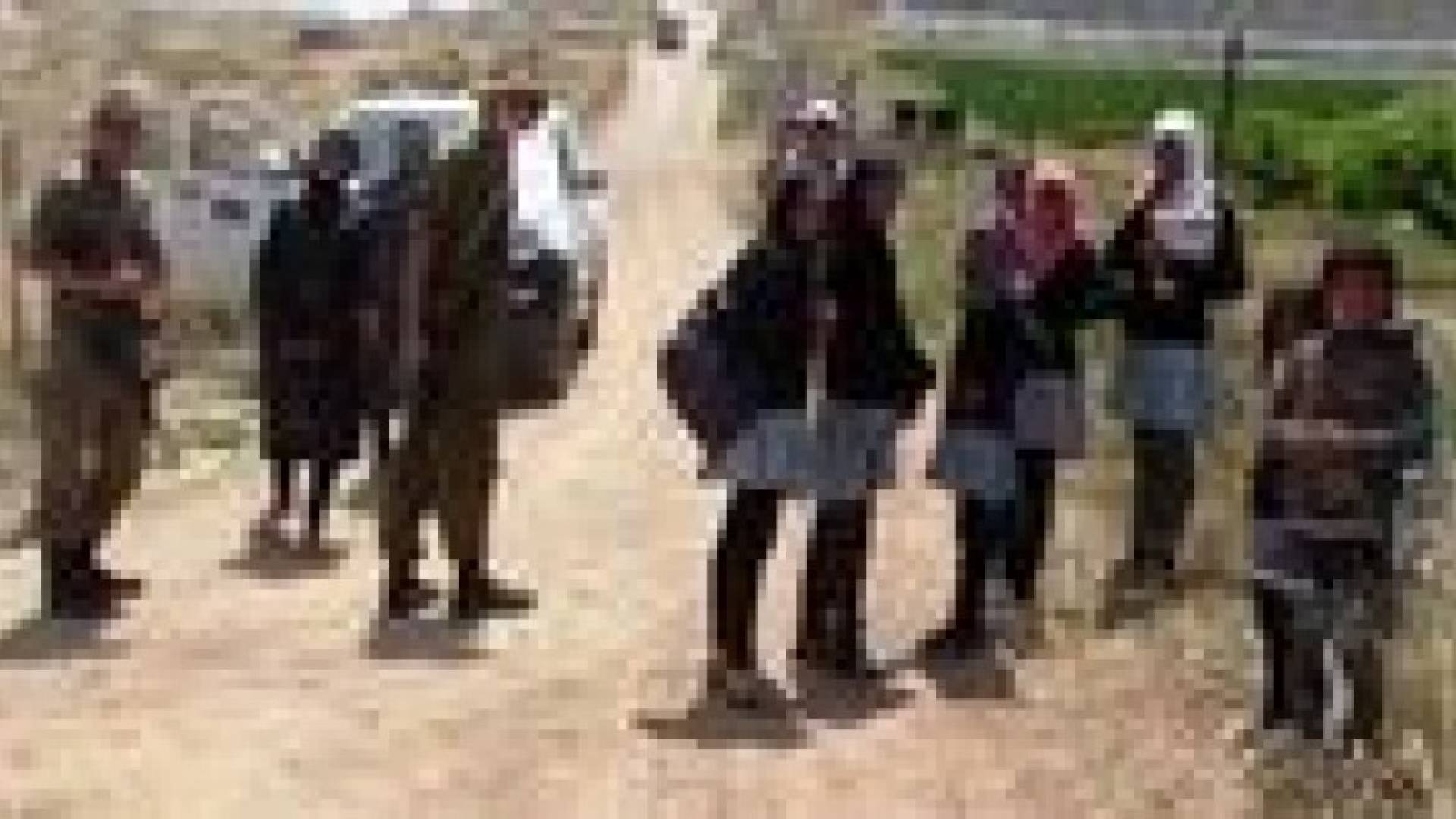 شرطة الاحتلال تعتقل 4 فتيات فلسطينيات بتهمة " قطف الكرز "