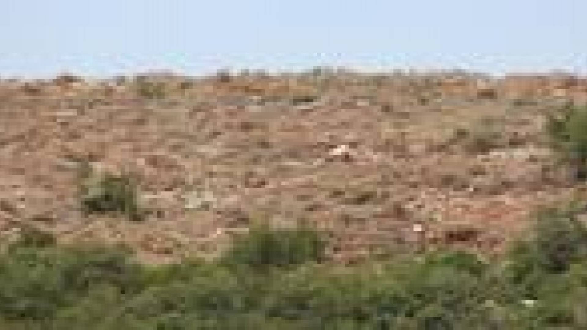 رؤيا تنشر صورا لعمليات تجريف وإقتلاع الأشجار في غابات برقش