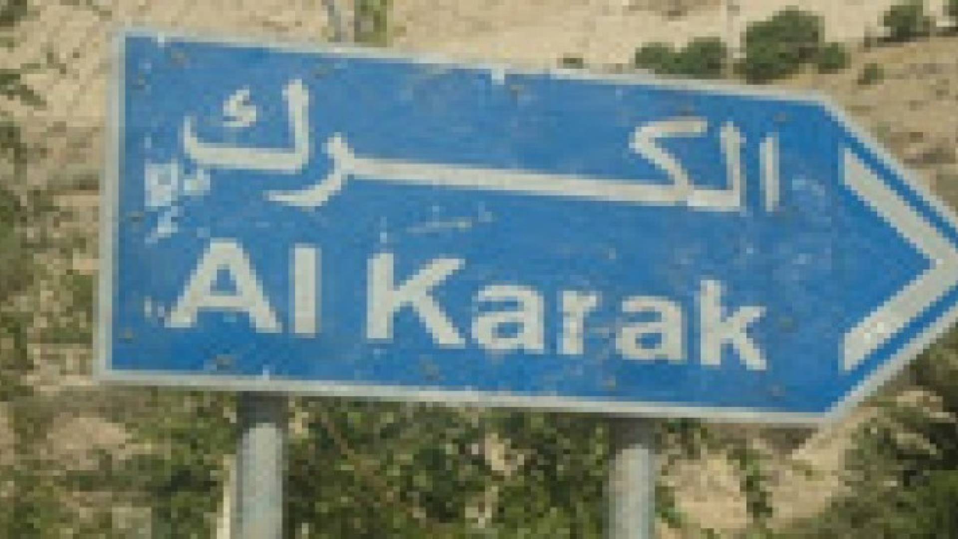 الكرك : ورشة بيئية بعنوان " لا ترميها بل أوقفها "