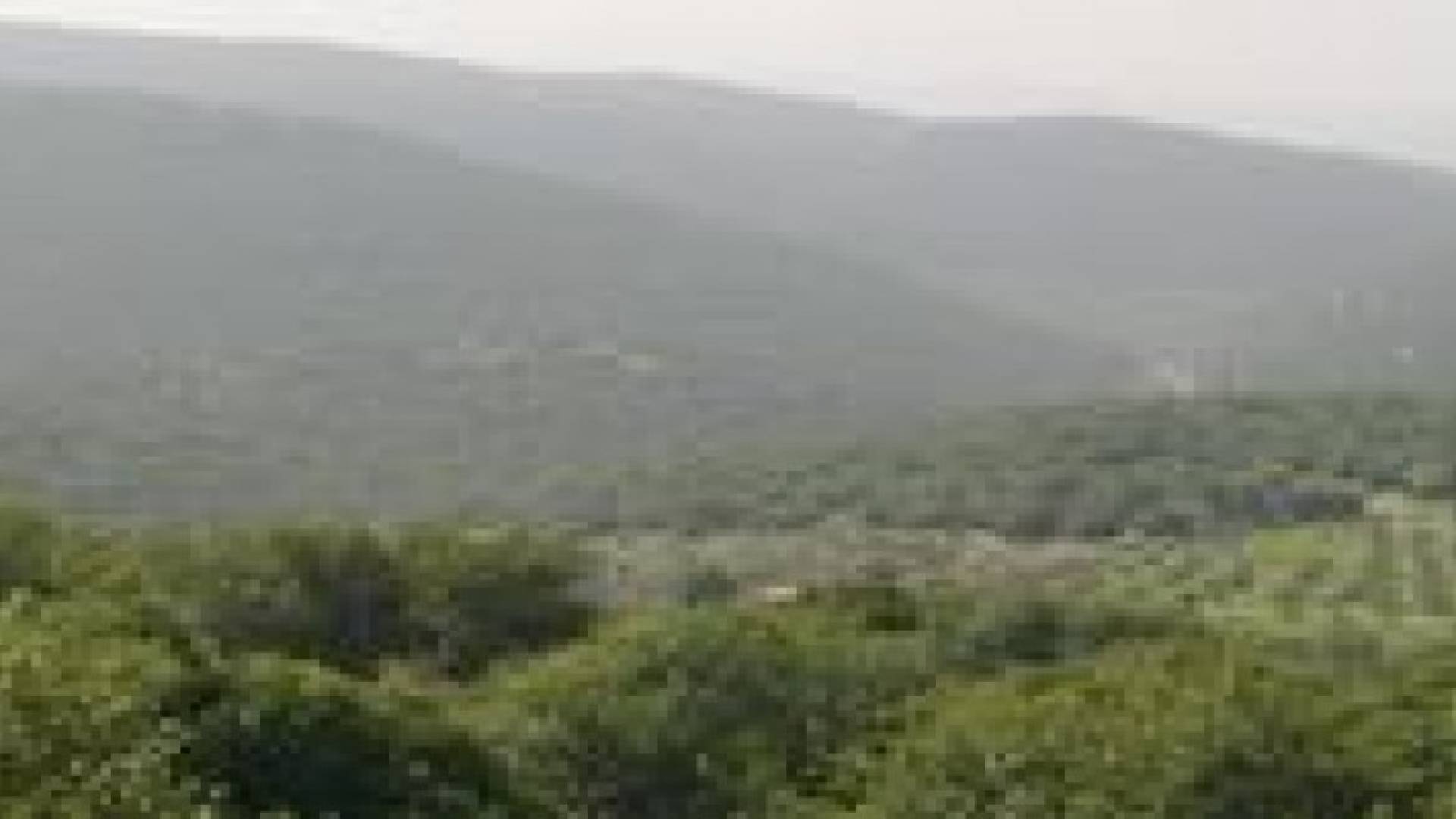 وزير الزراعة: الكلية العسكرية ستقام بمنطقة جرداء بجانب "برقش" .. ولا قطع للاشجار المعمرة