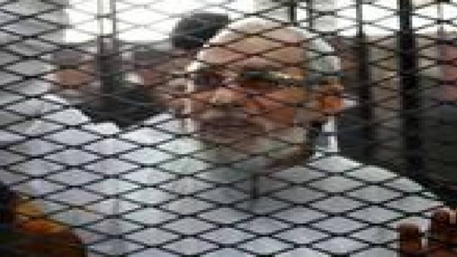 بديع : الجماعة لا تعرف العنف .. والشعب سيسترد حريته