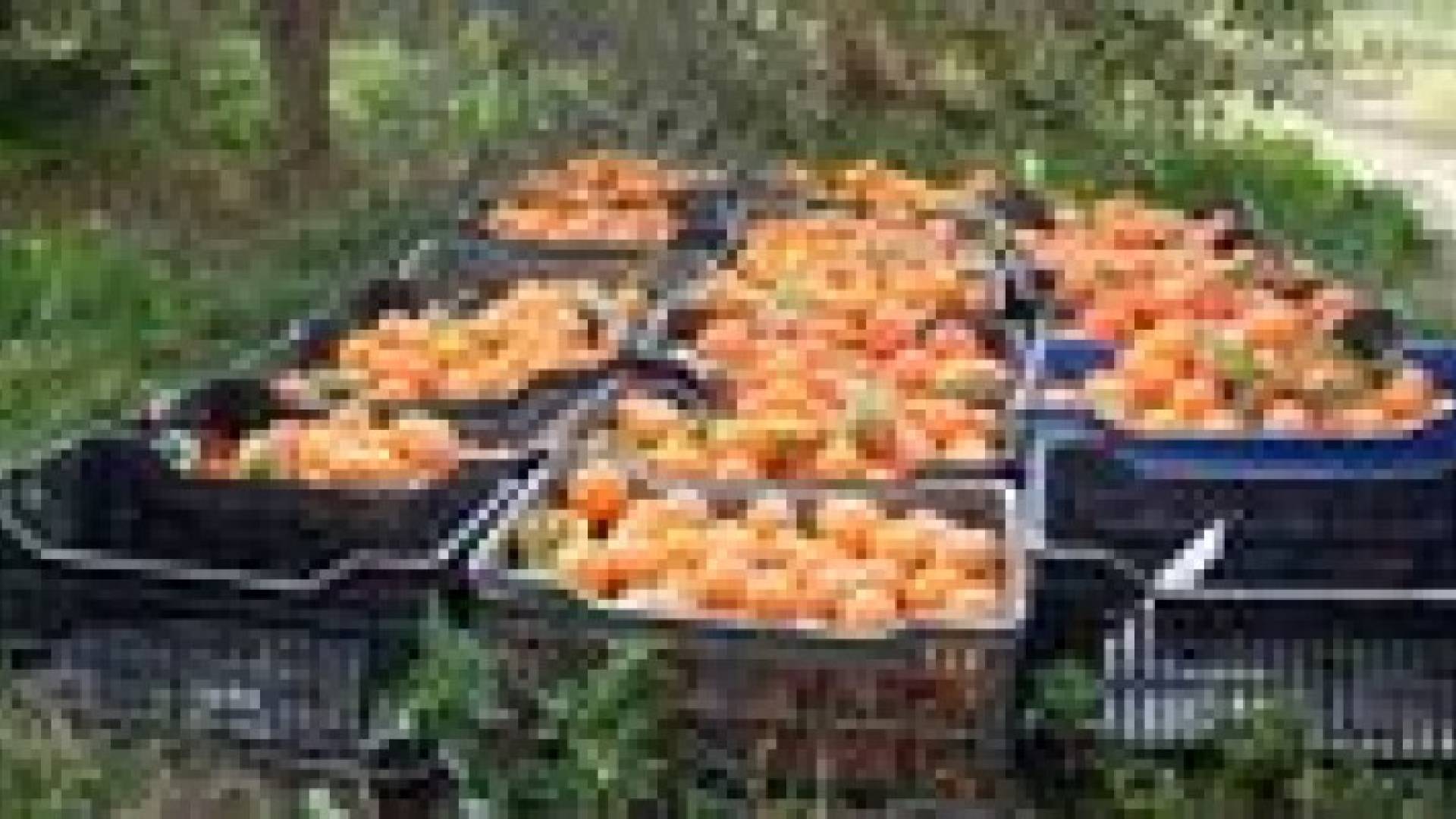 الزراعة ترفض ادخال 620 طن حمضيات عبر جابر