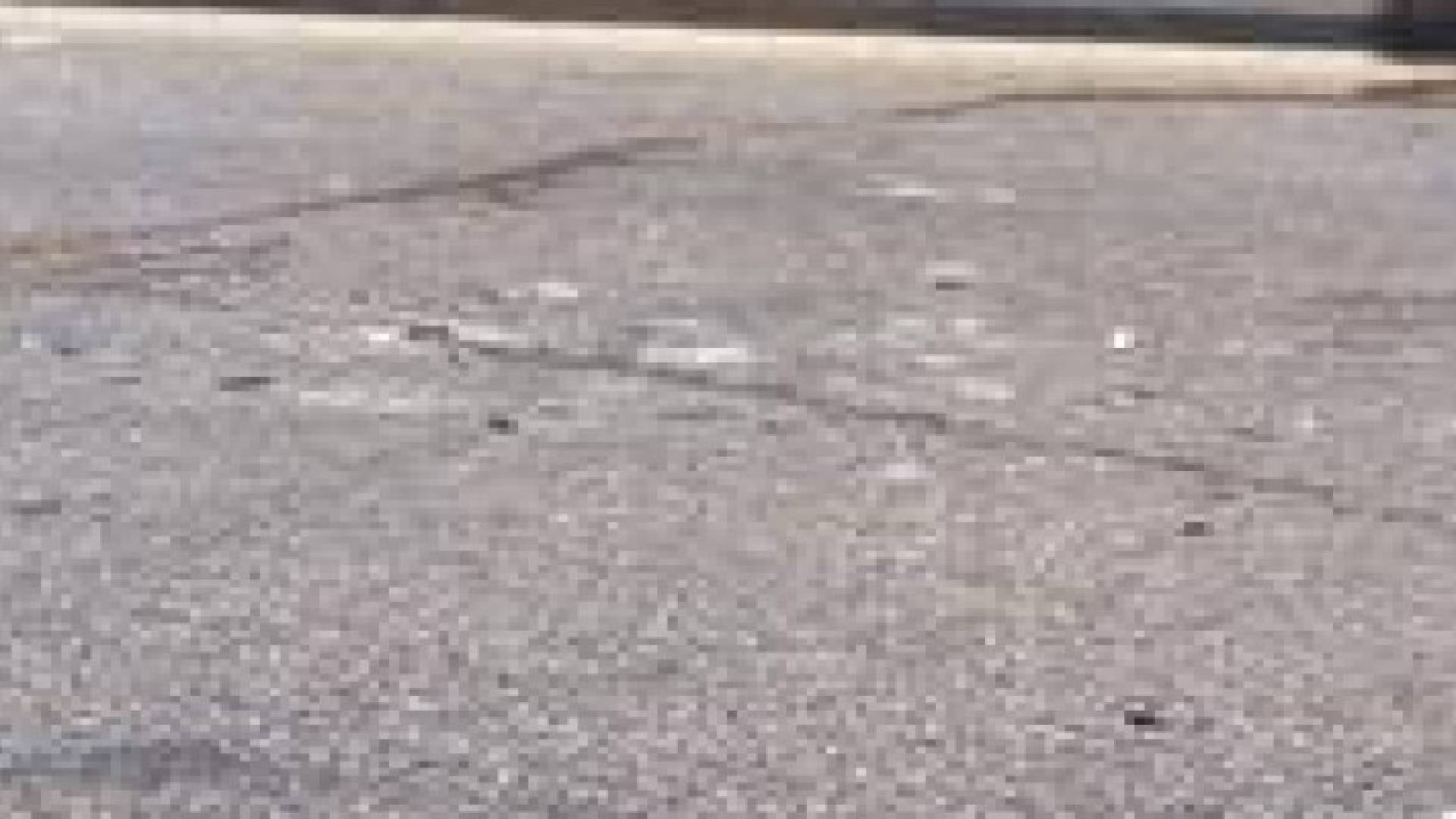 حادثا سير وإصابة شخص في شارع الحرية بعمان..صور