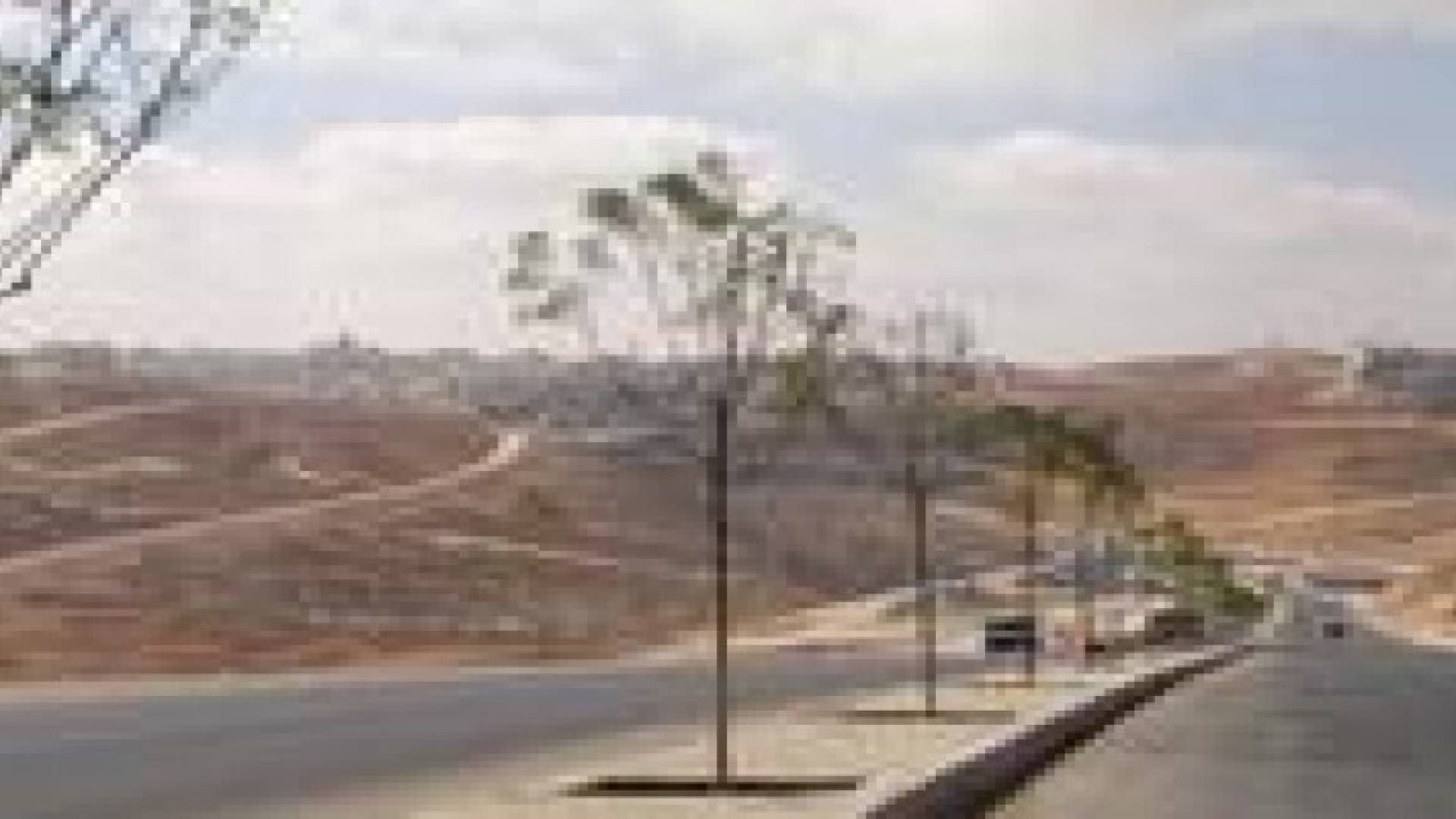 موافقة من حيث المبدأ على " تشجير " جوانب الطرق الرئيسية