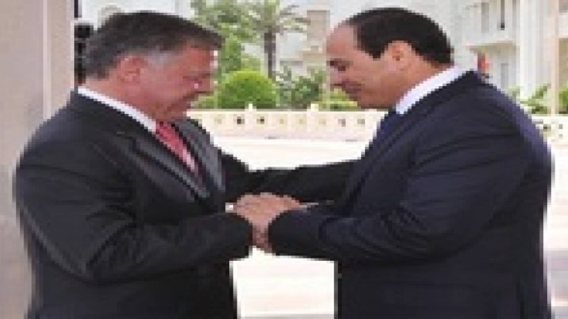 المصريون معجبون  بالملك