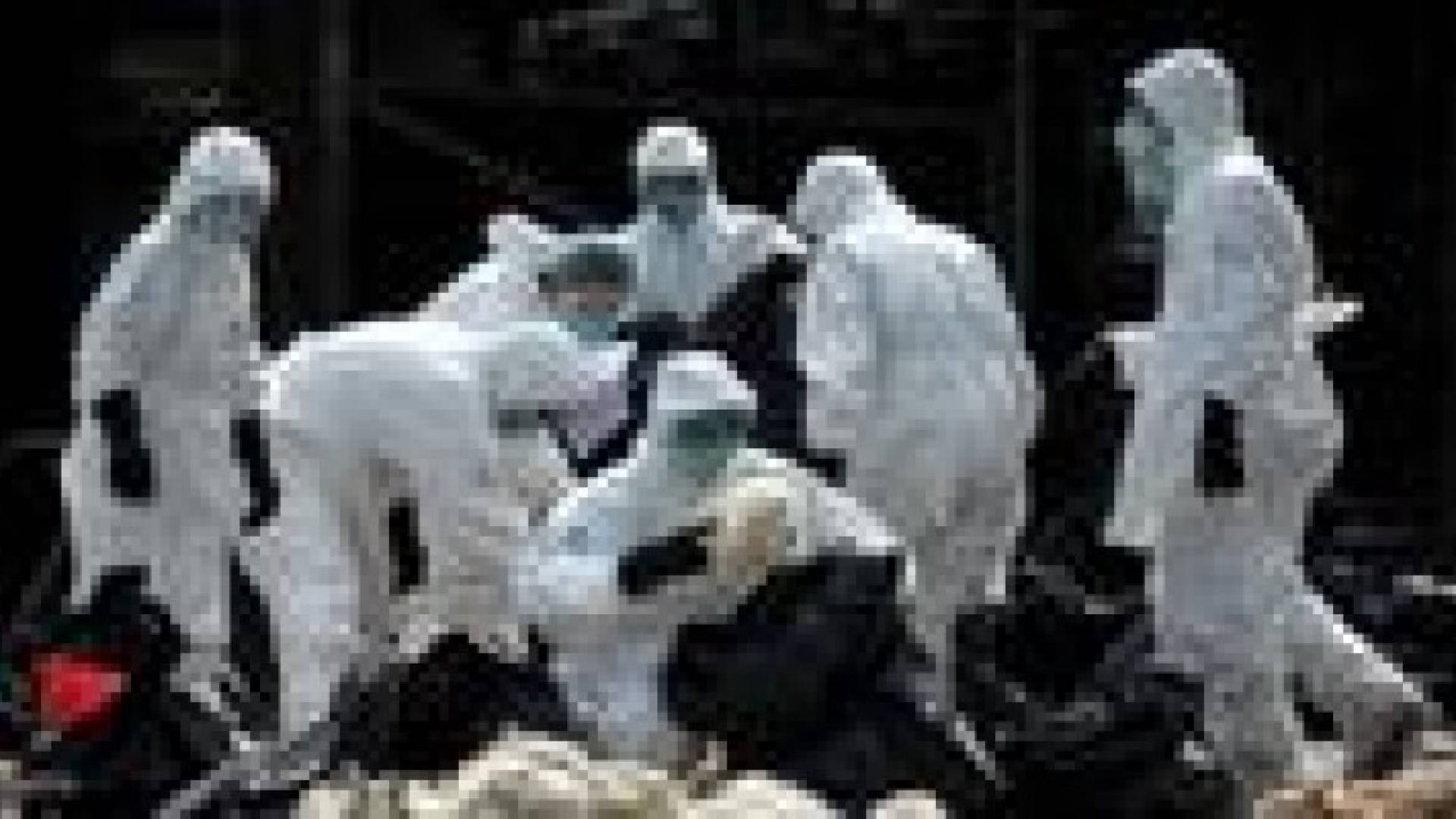 علماء يطورون فيروس إنفلونزا يهدد حياة البشرية