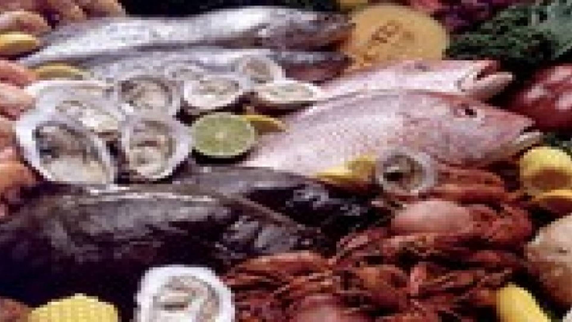 السمك يحمل قيمة عذائية كبيرة للمرأة والطفل