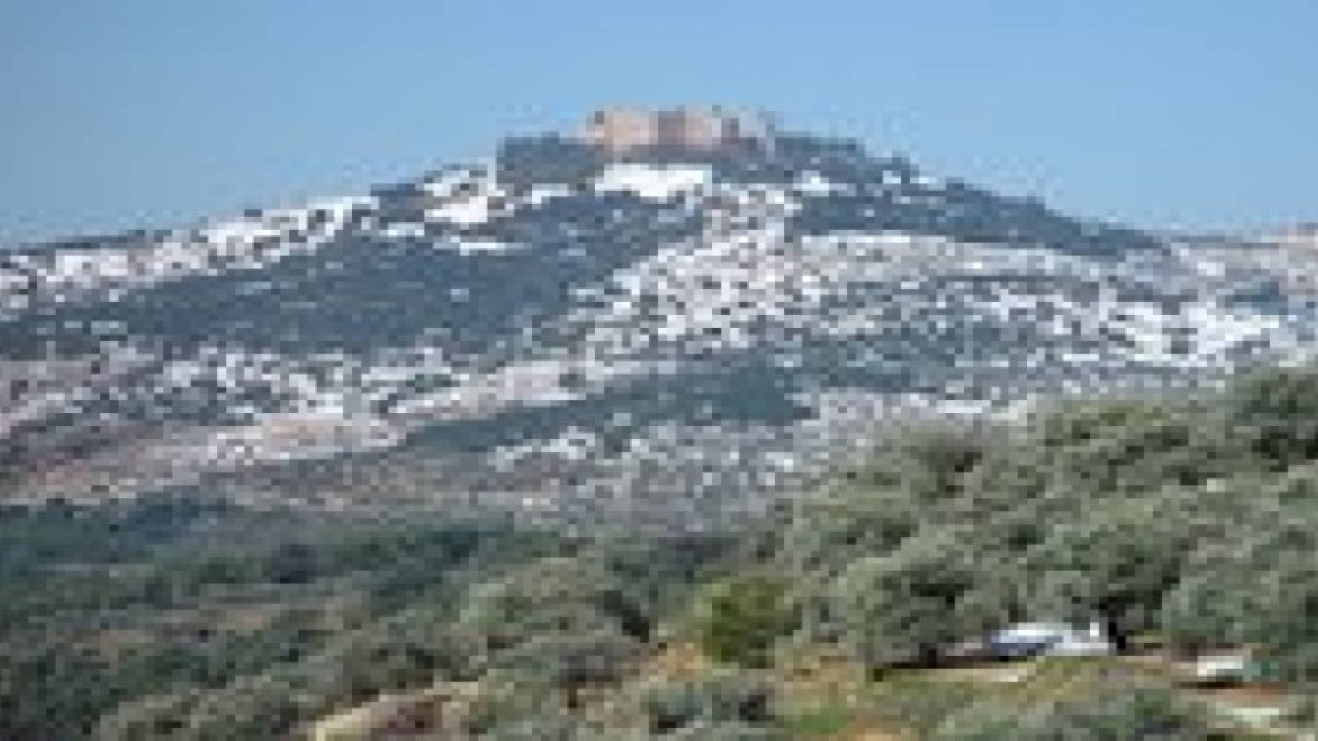 فعاليات للاحتفال بالأعياد الوطنية في خربة الوهادنة بعجلون