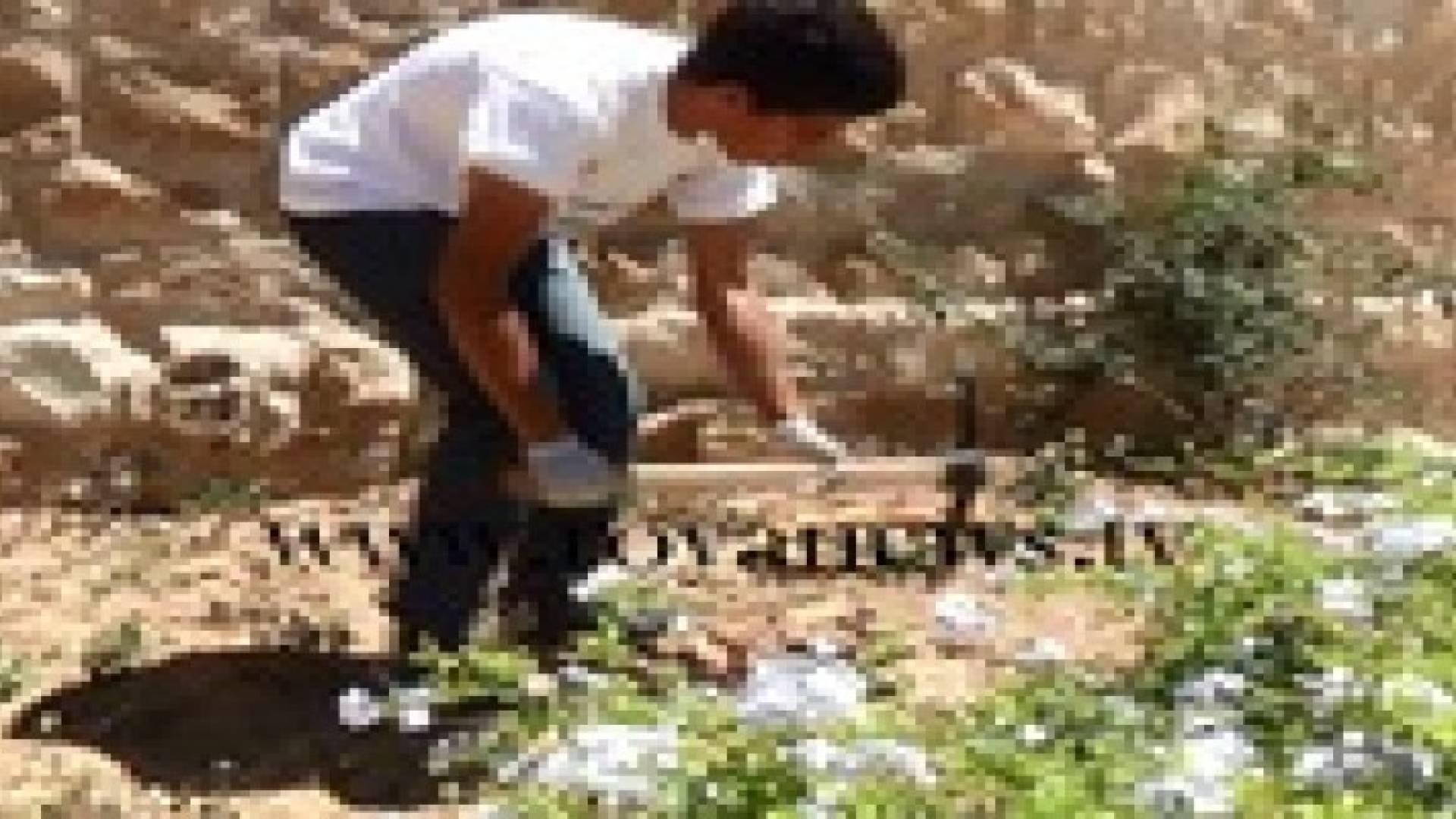 حملة تطوعية في الكرك لطلاء الأرصفة ..صور