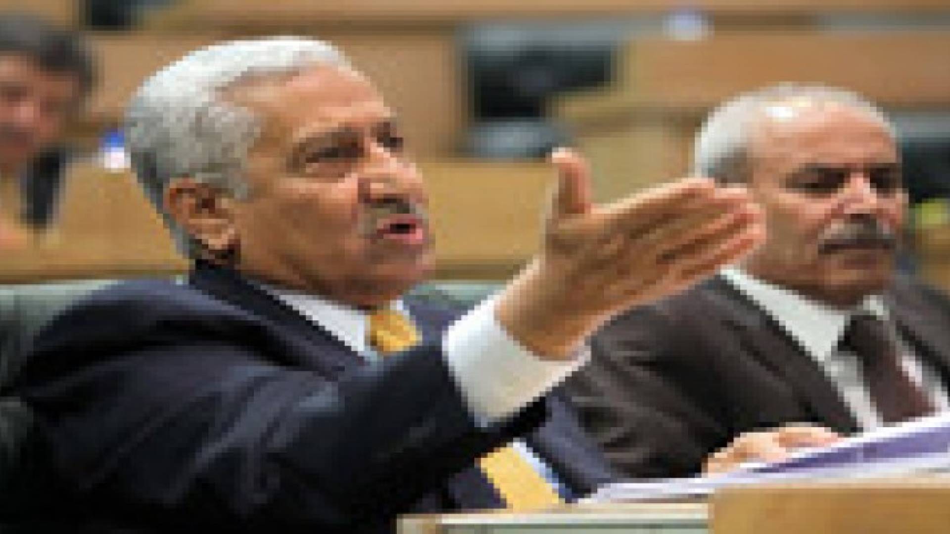 المناصير يجلس على كرسي النسور