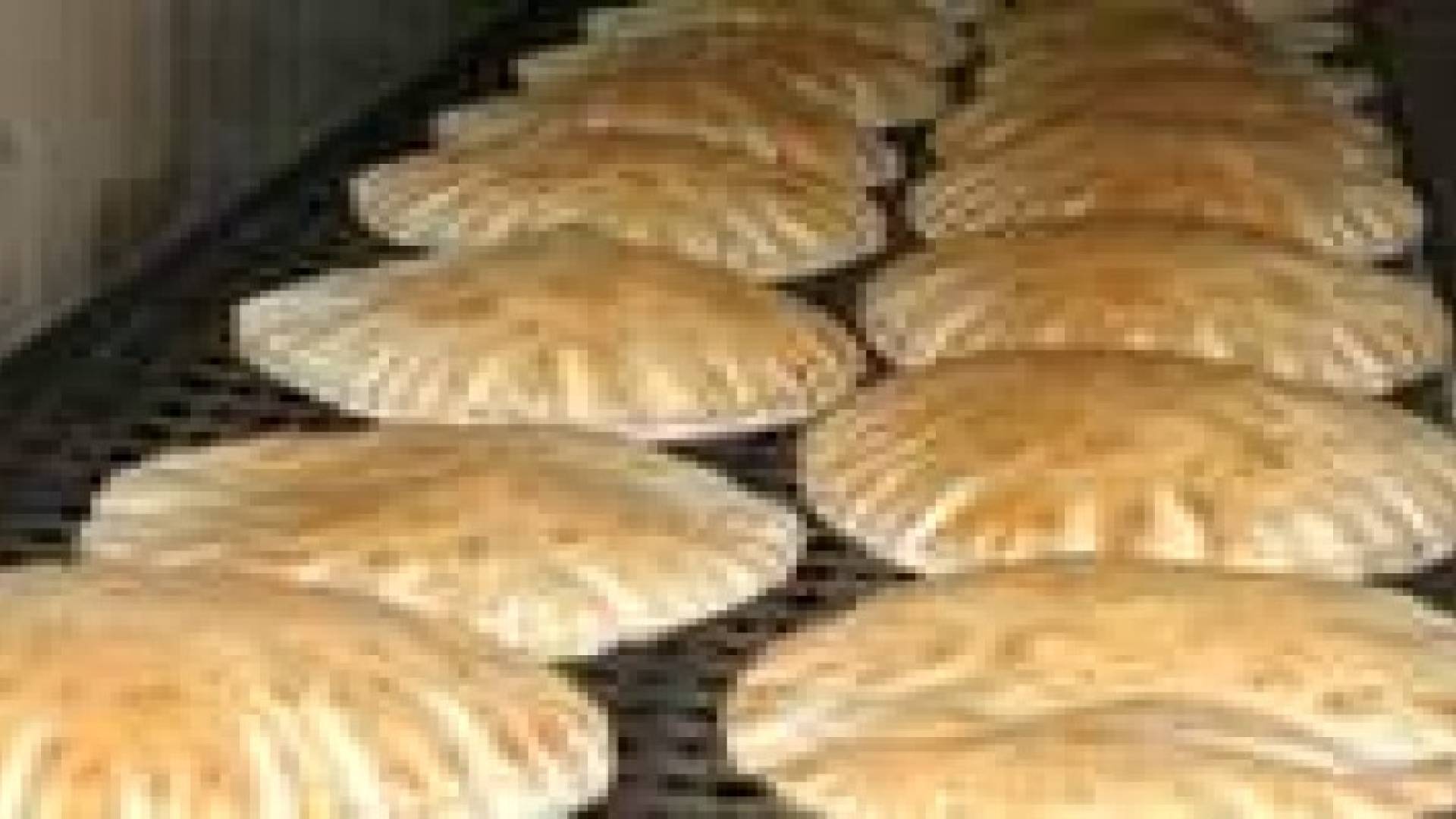 “صندوق النقد” ينصح بعدم تحرير اسعار الخبز!